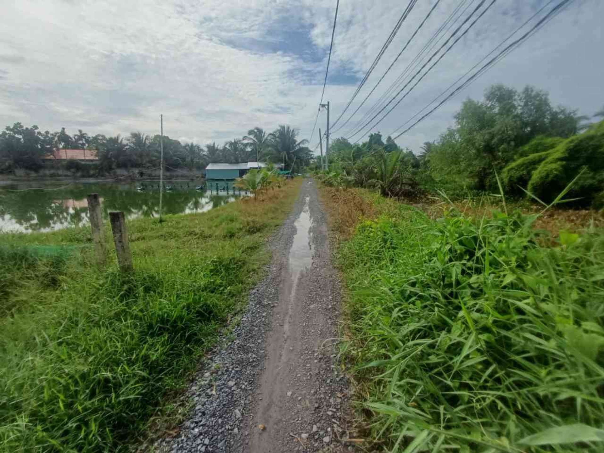 Đất - 1000m² - Bình Lợi, Bình Chánh, TP Hồ Chí Minh - 3 tỷ