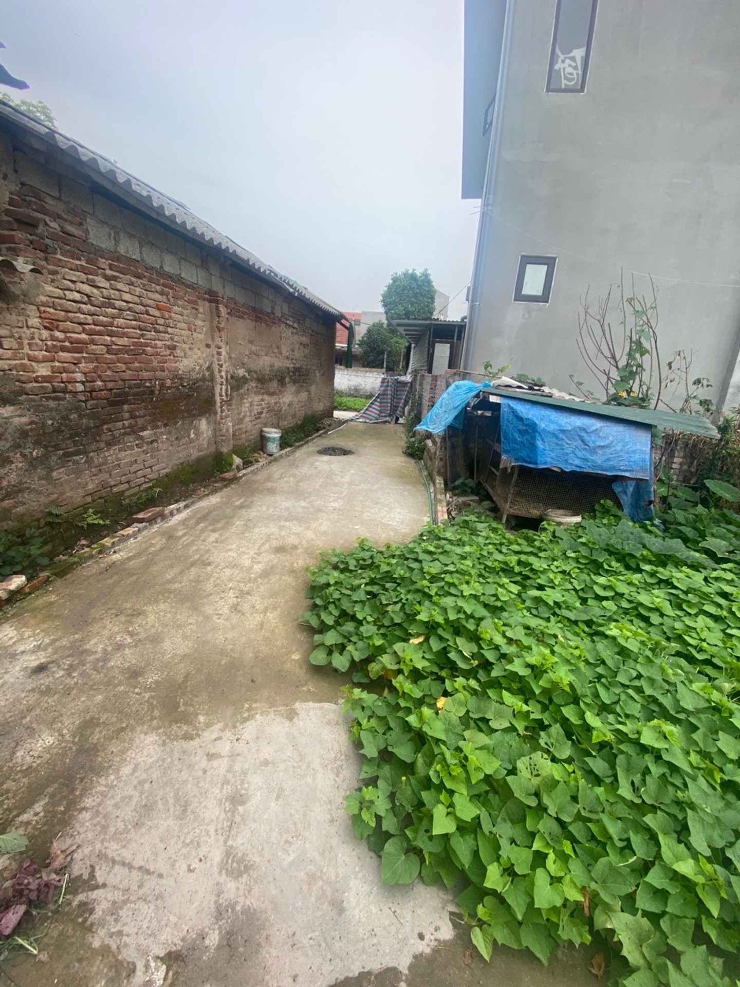 Đất nền 42m² - Ngọc Lịch, Văn Lâm, Hưng Yên - Pháp lý đầy đủ, giá 1.9 tỷ