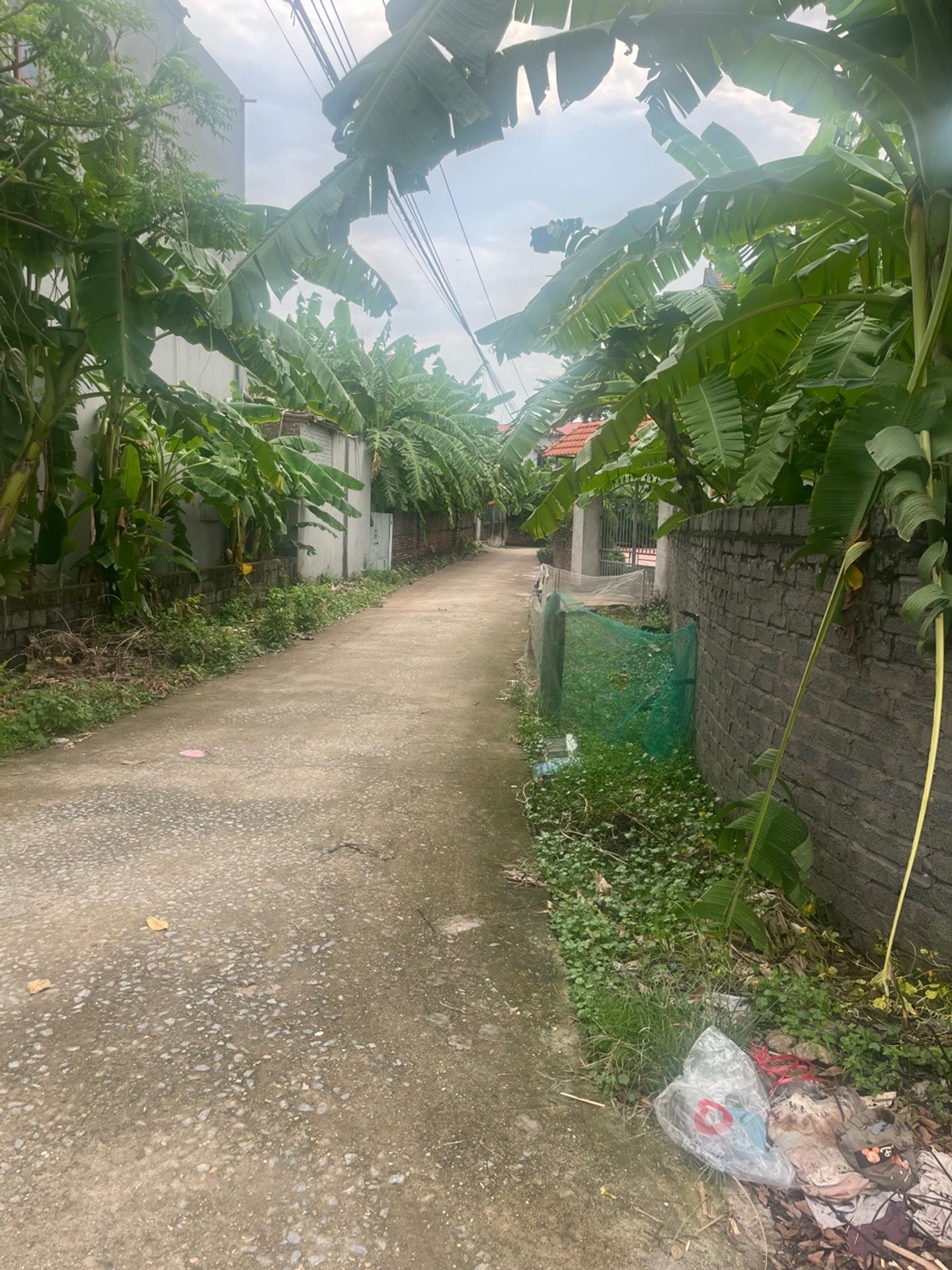 Bán nhà riêng 200m² lô góc tại Gia Bình, Bắc Ninh - Giá 4.25 tỷ