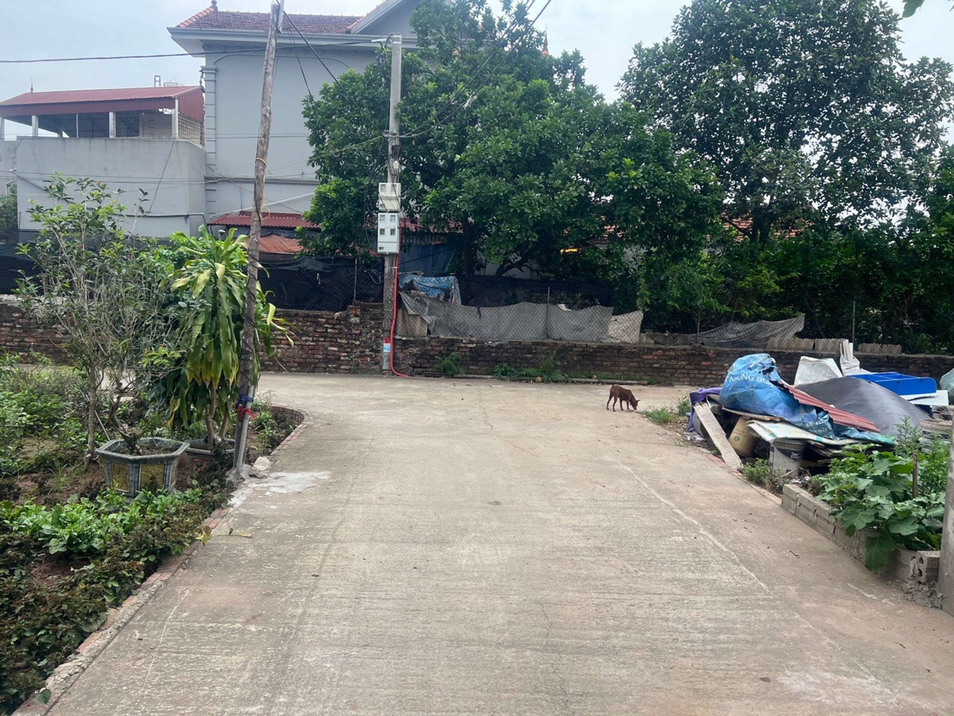 Đất - 72.5m² - Văn Giang, Hưng Yên - 3.5 tỷ