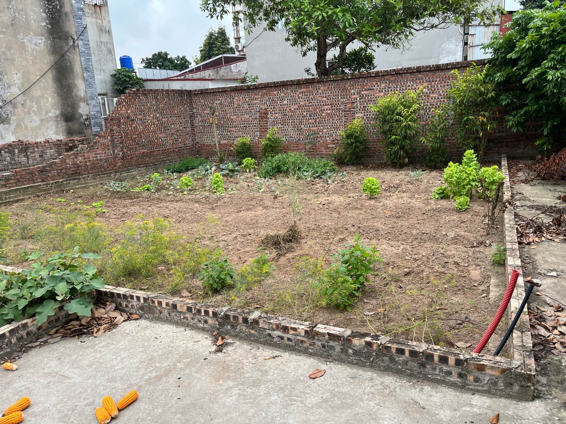 Đất - 81.6m² - Thuận Thành, Bắc Ninh - 3.5 tỷ