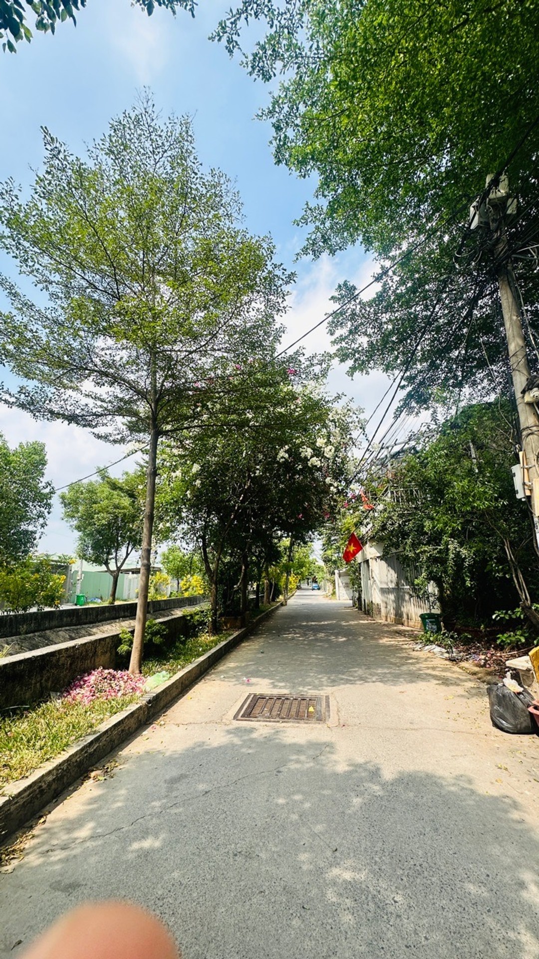 Cơ Hội Vàng: Đất Hẻm Xe Hơi - Giá Chỉ 4.45 Tỷ, Hẹp Hơn Còn Thương Lượng!