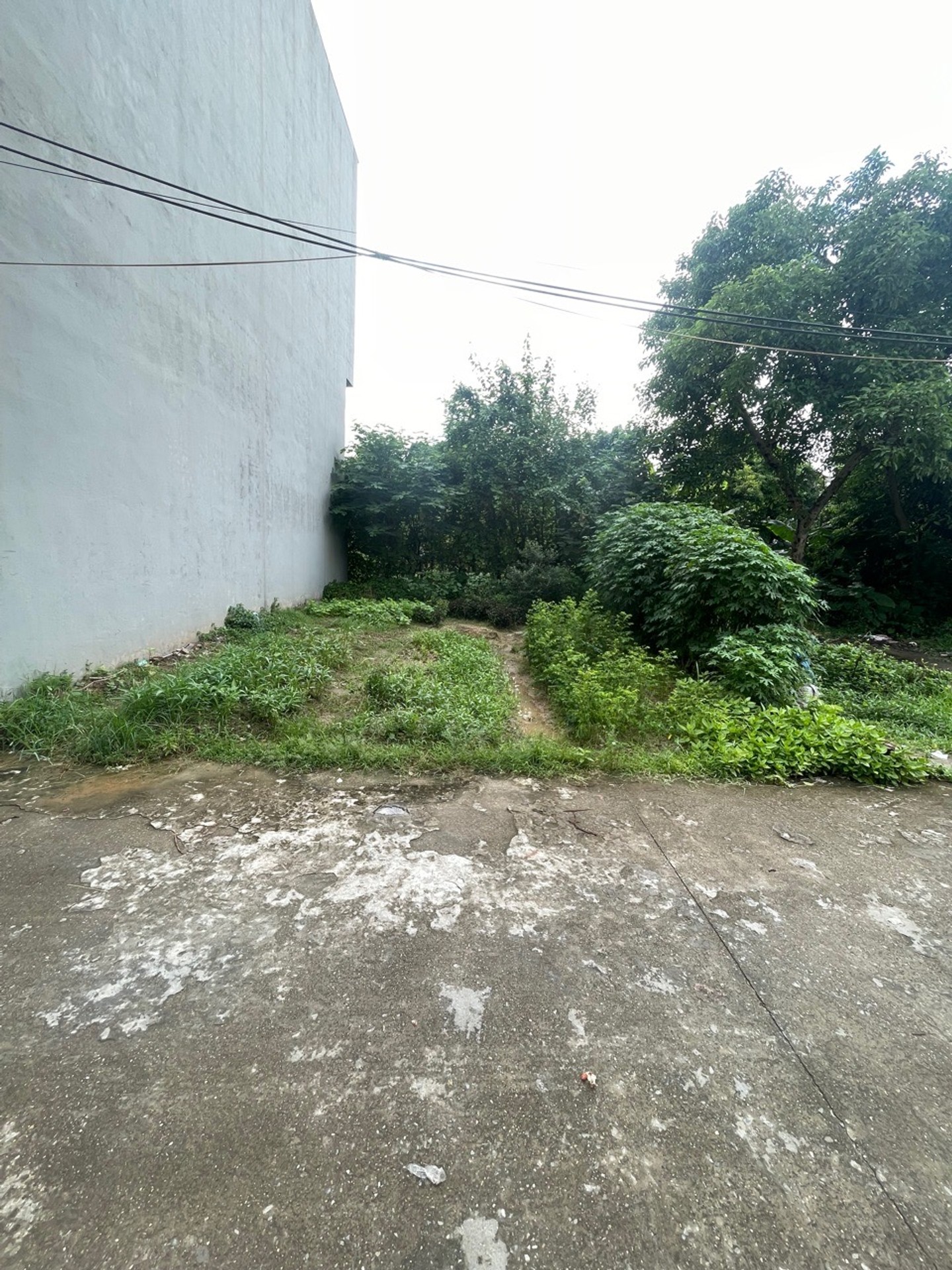 Bán Đất Thôn Trí Chung 66m² - Giá 5 Tỷ - Pháp Lý Cơ Sở, Mặt Tiền 6.6m, Đường 4m