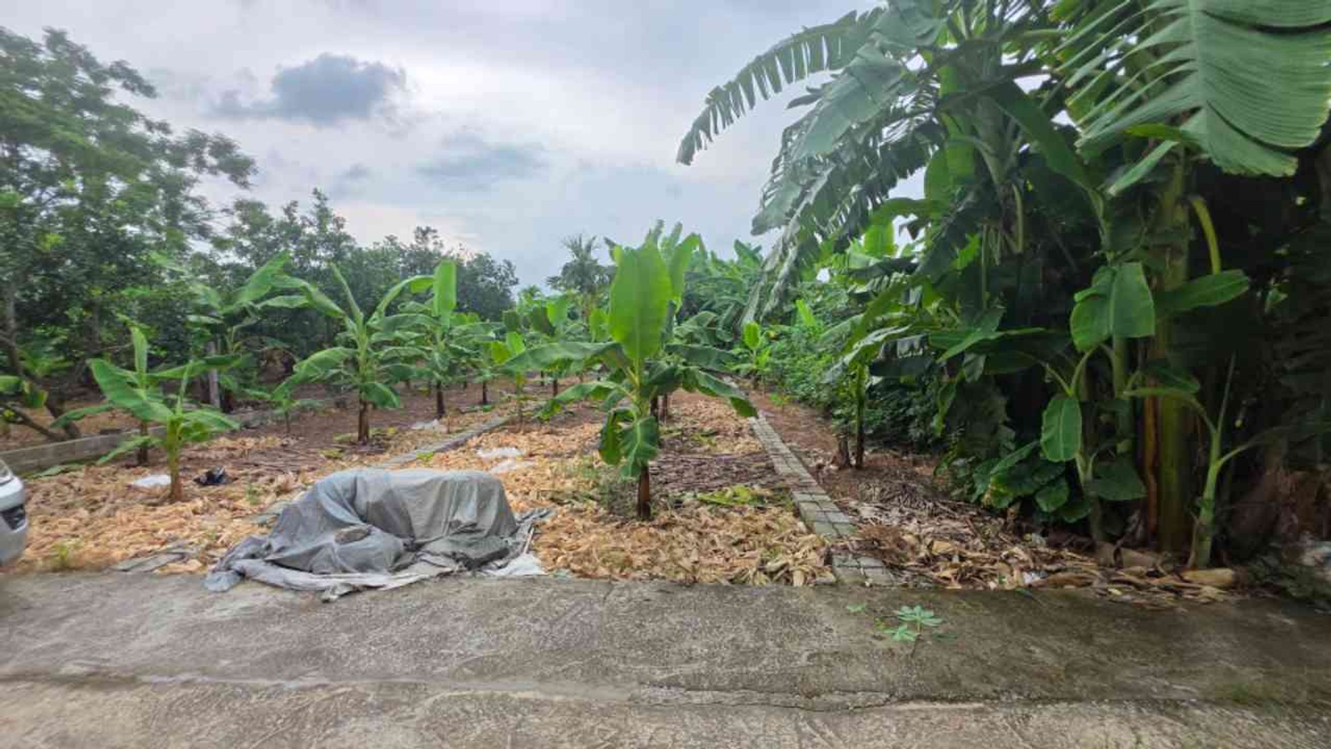 Cơ Hội Vàng Sở Hữu Đất Vàng Tại Hưng Yên - Chỉ 1,55 Tỷ!
