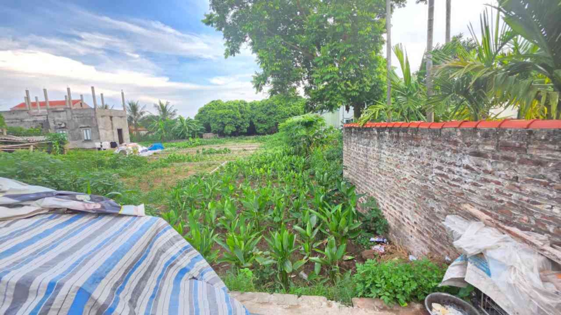 Đất Trung Tâm Hưng Yên - Cơ Hội Đáng Sở Hữu Nhất Bây Giờ!