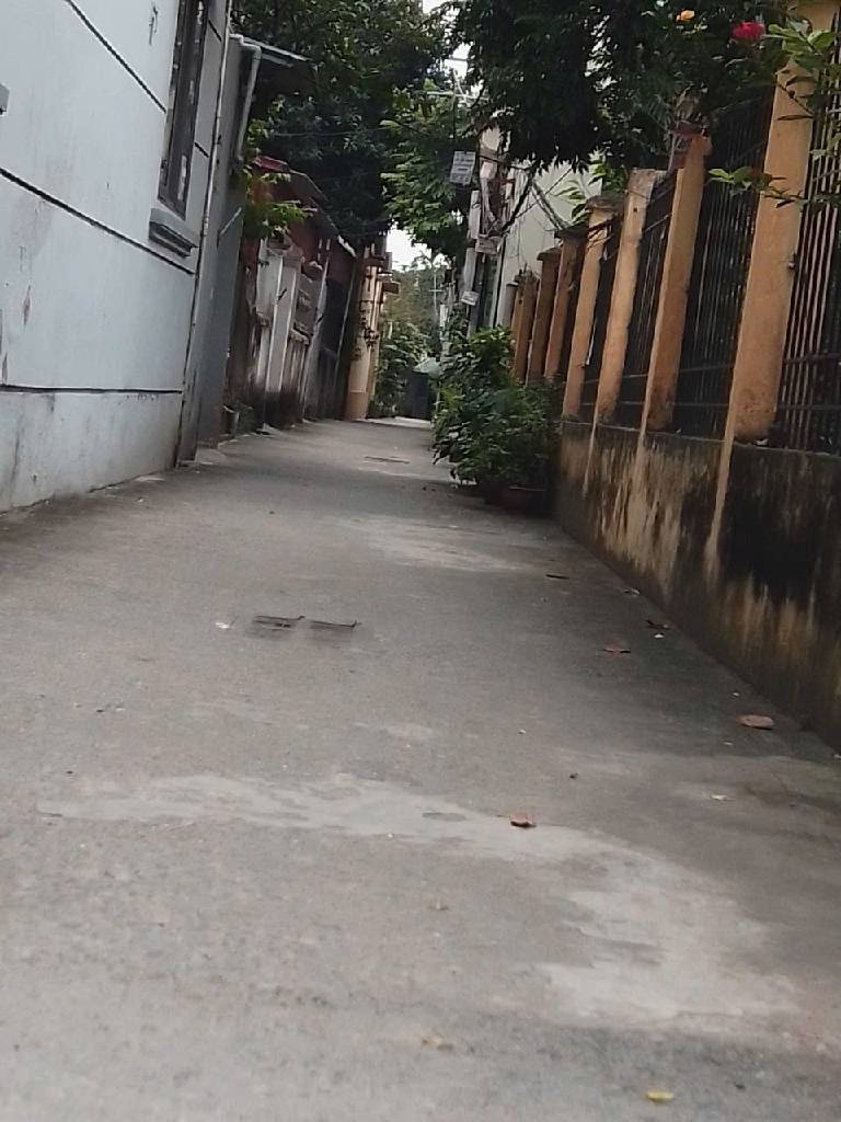 Bán đất 131m² Đức Giang, 10.5 tỷ, Mặt ngõ ô tô thông