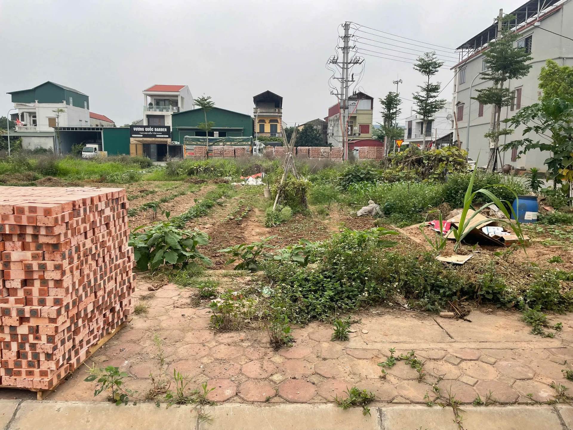 Bán Đất KDC Mới Thôn An Lạc, Diện Tích 95m², Giá 5.5 Tỷ