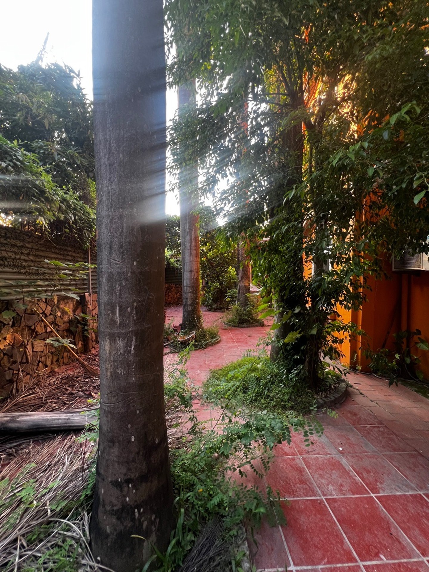 Biệt thự sân vườn đẳng cấp sống thượng lưu 3 tầng 190m² - Tây Hồ,ô tô vào nhà view công viên 90 tỷ