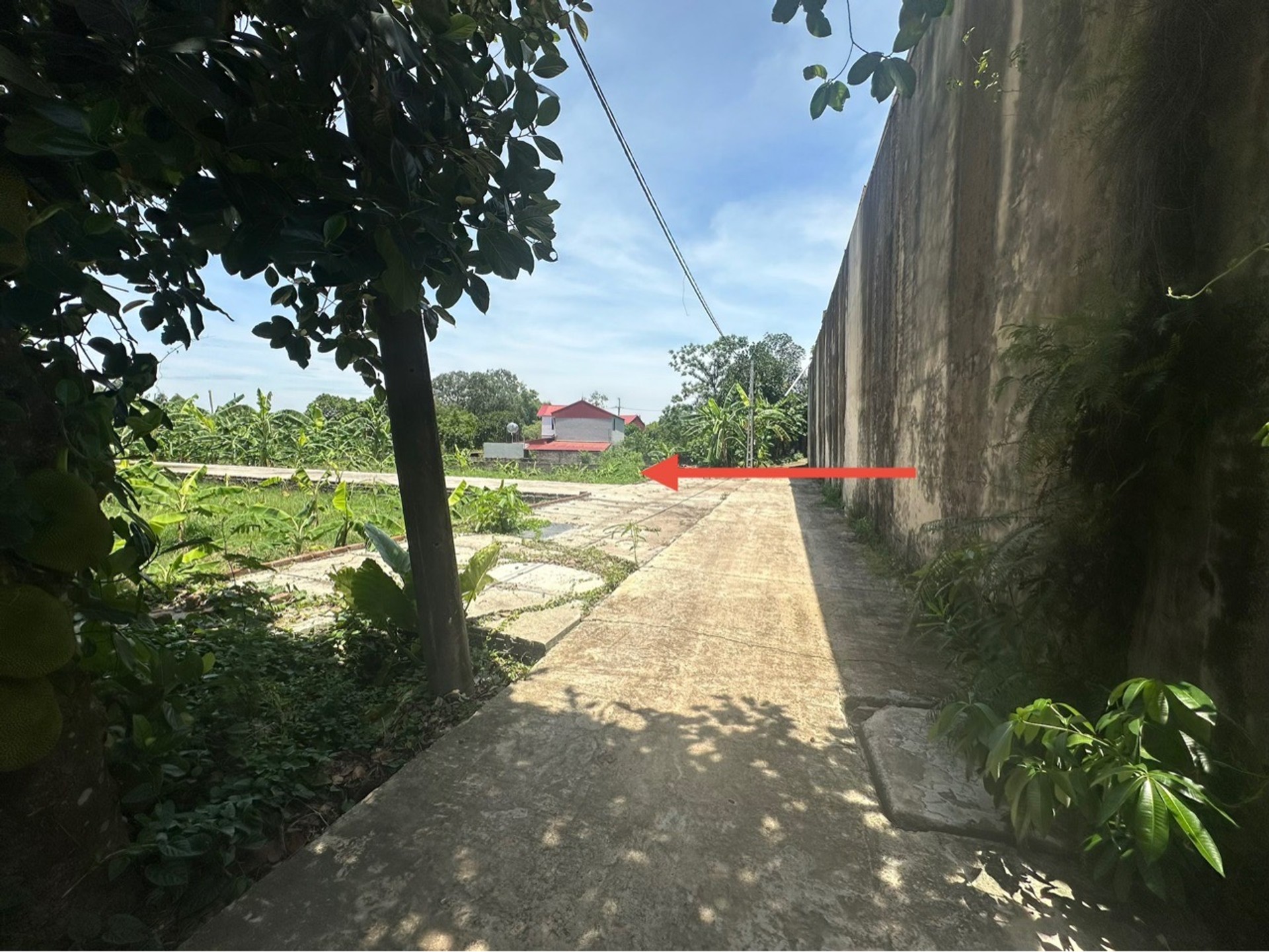 Đầu Tư Thông Minh Tại Tiên Dược - Đất Rộng Đẹp Chờ Chủ Mới!