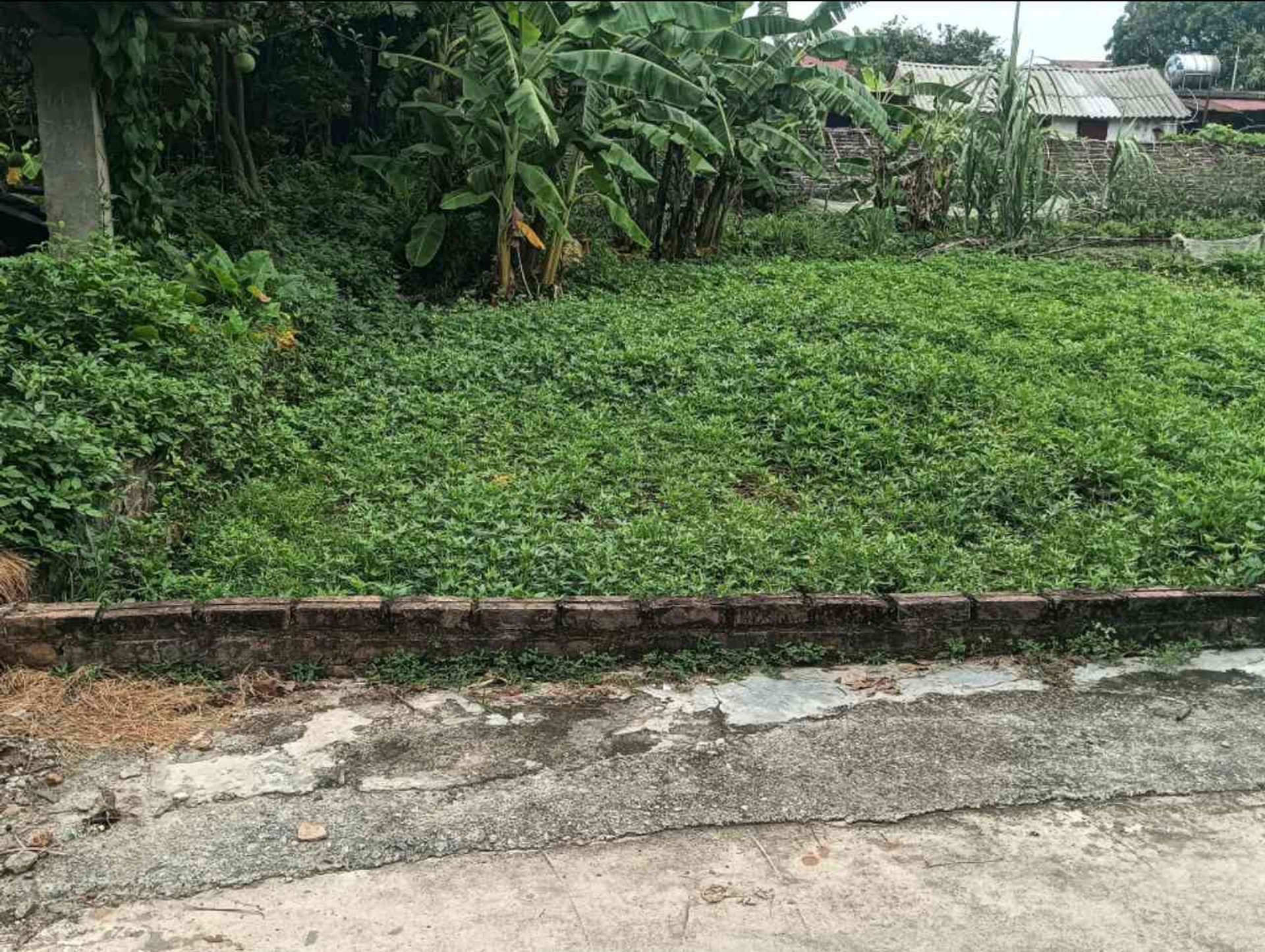 Bán đất 60m² gần trục kinh doanh, sổ đỏ pháp lý đầy đủ, giá 1.25 tỷ VNĐ