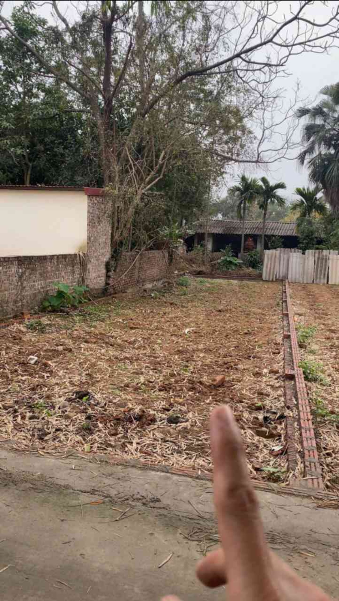 Cơ Hội Vàng Đầu Tư Đất Nền 111,2m² - Tiềm Năng Tăng Giá Cao!