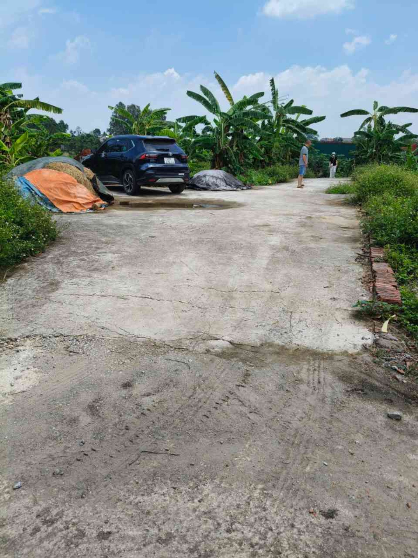 Bán đất thổ cư Sơn Đoài, Tân Minh, Sóc Sơn - Giá đầu tư, ngõ ô tô vào