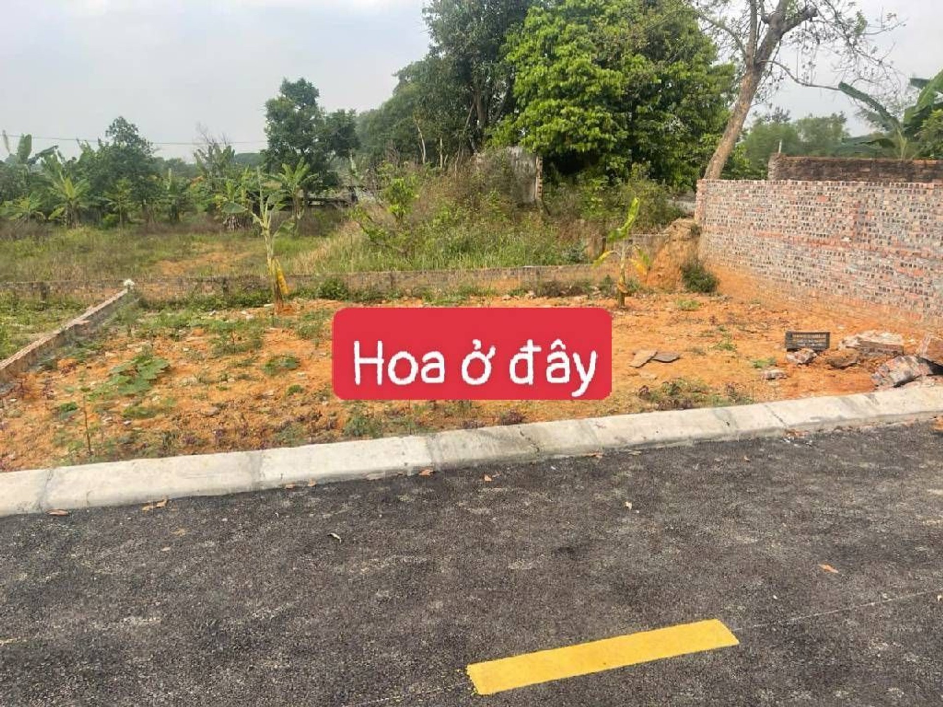 Cơ Hội Vàng: Đất 80m² Chỉ 1.7 Tỷ Tại Sóc Sơn!