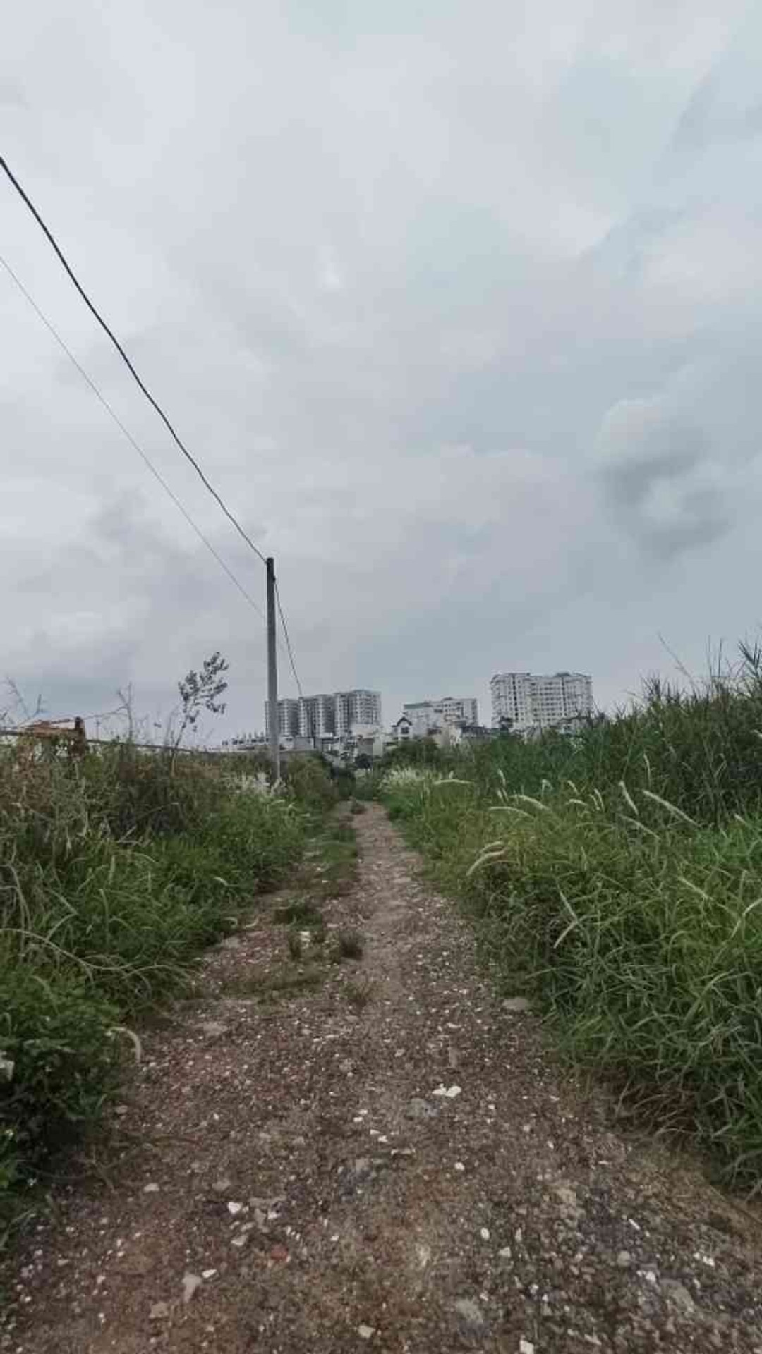 Cơ hội vàng sở hữu đất lô góc rộng 5m tại Gò Vấp với giá cực tốt