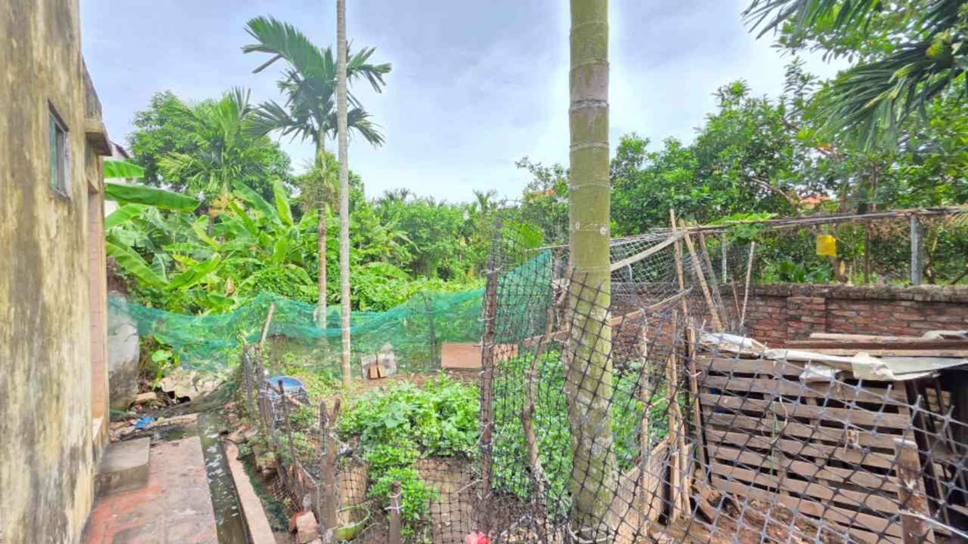BÁN ĐẤT THỔ CƯ CẠNH VINHOMES OCEAN PARK 189M ,giá chỉ hơn 8 tỷ