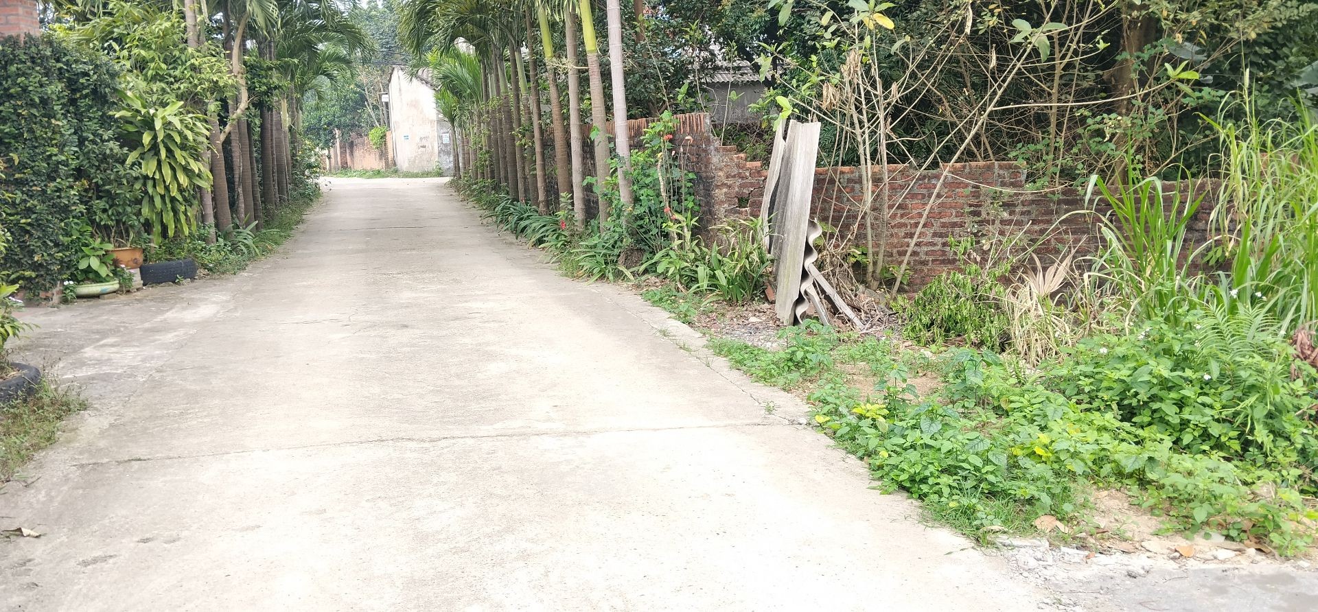 Cơ Hội Đầu Tư Đất Nền Đan Tảo, Tân Minh Chỉ 3 Tỷ VNĐ