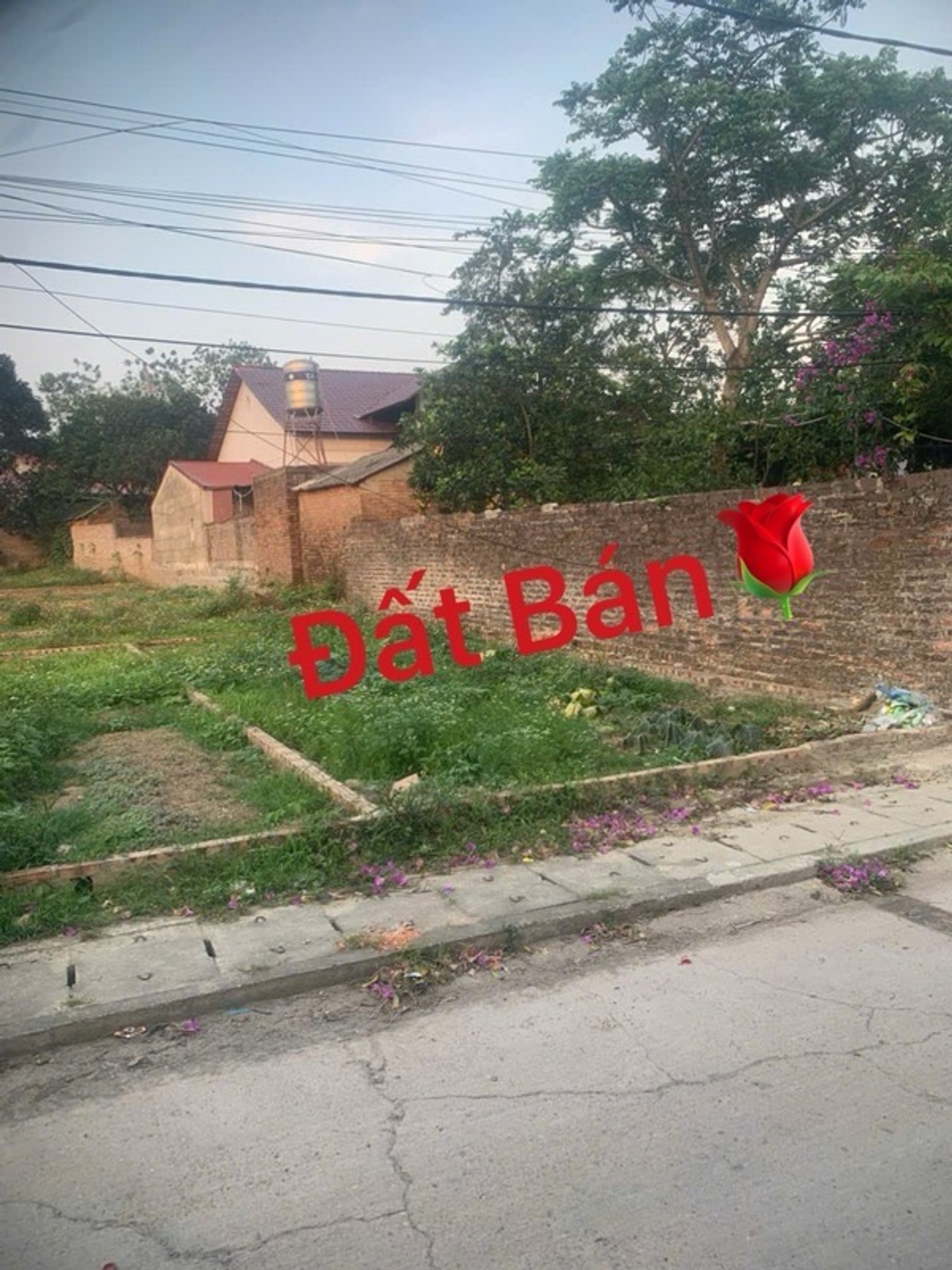 Mảnh Đất Vàng Tại Sóc Sơn – Cơ Hội Đầu Tư Đỉnh Cao!