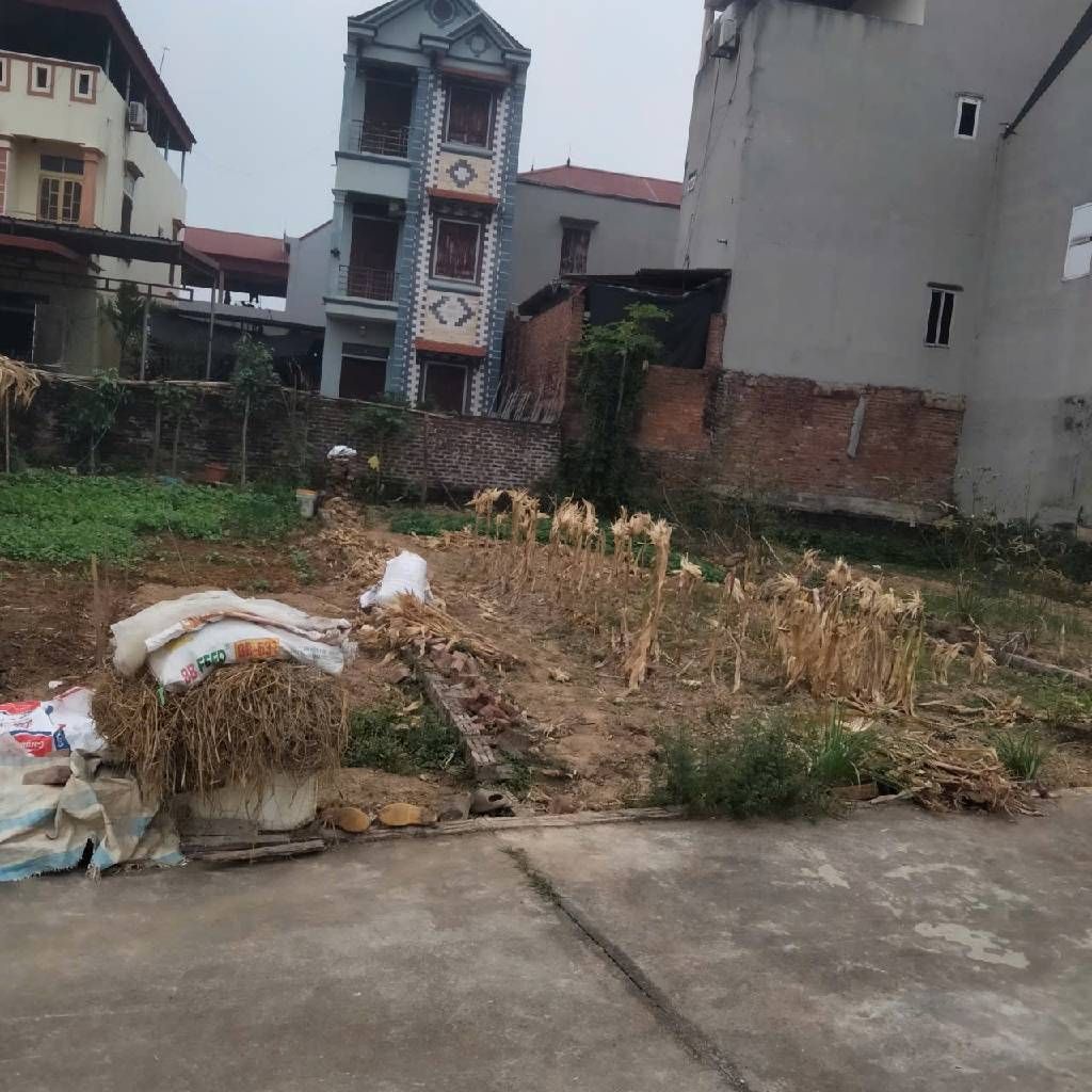 Bán đất mặt tiền 5.2m, 86m², giá 1.950 tỷ tại khu dân cư đông đúc