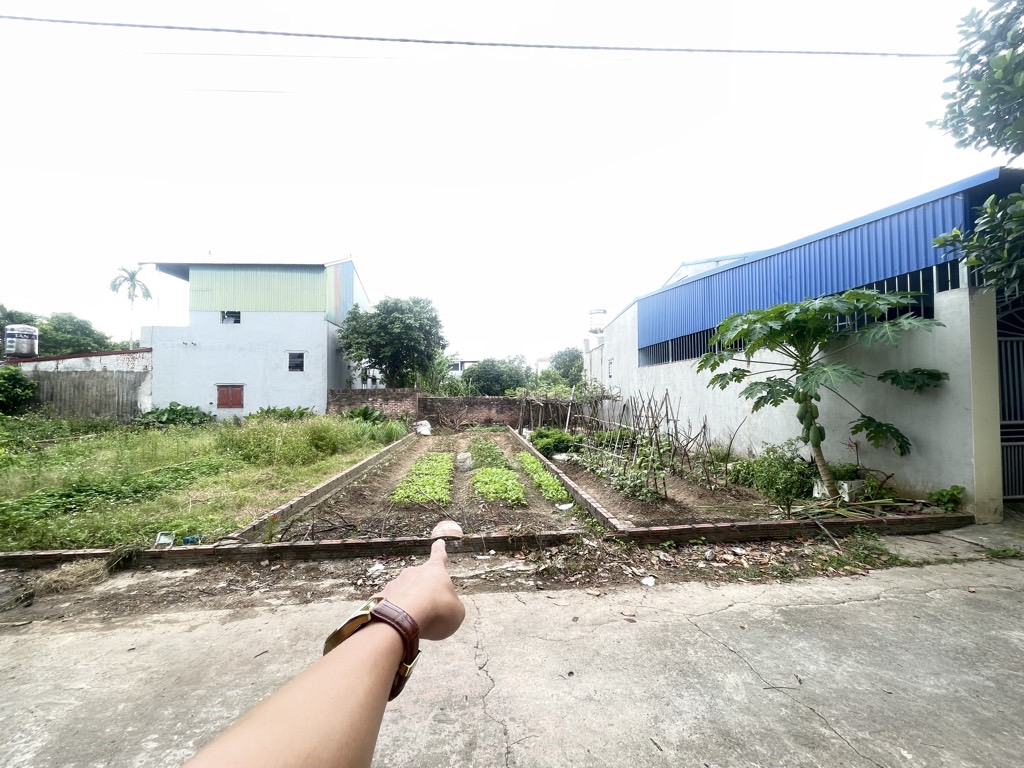 Đất Vang Vị Trí Đẹp - Cơ Hội Vàng Chờ Bạn!