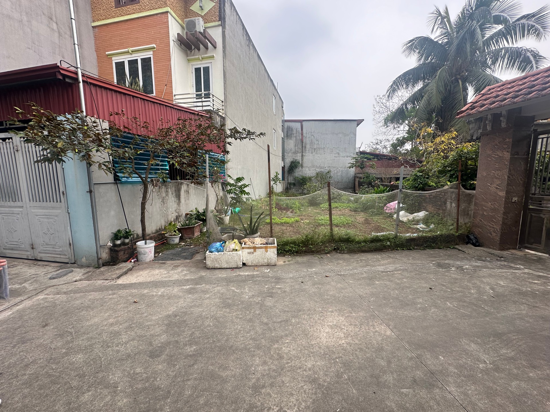 Bán Đất Vàng Tại Sóc Sơn - Cơ Hội Đầu Tư Đáng Giá!