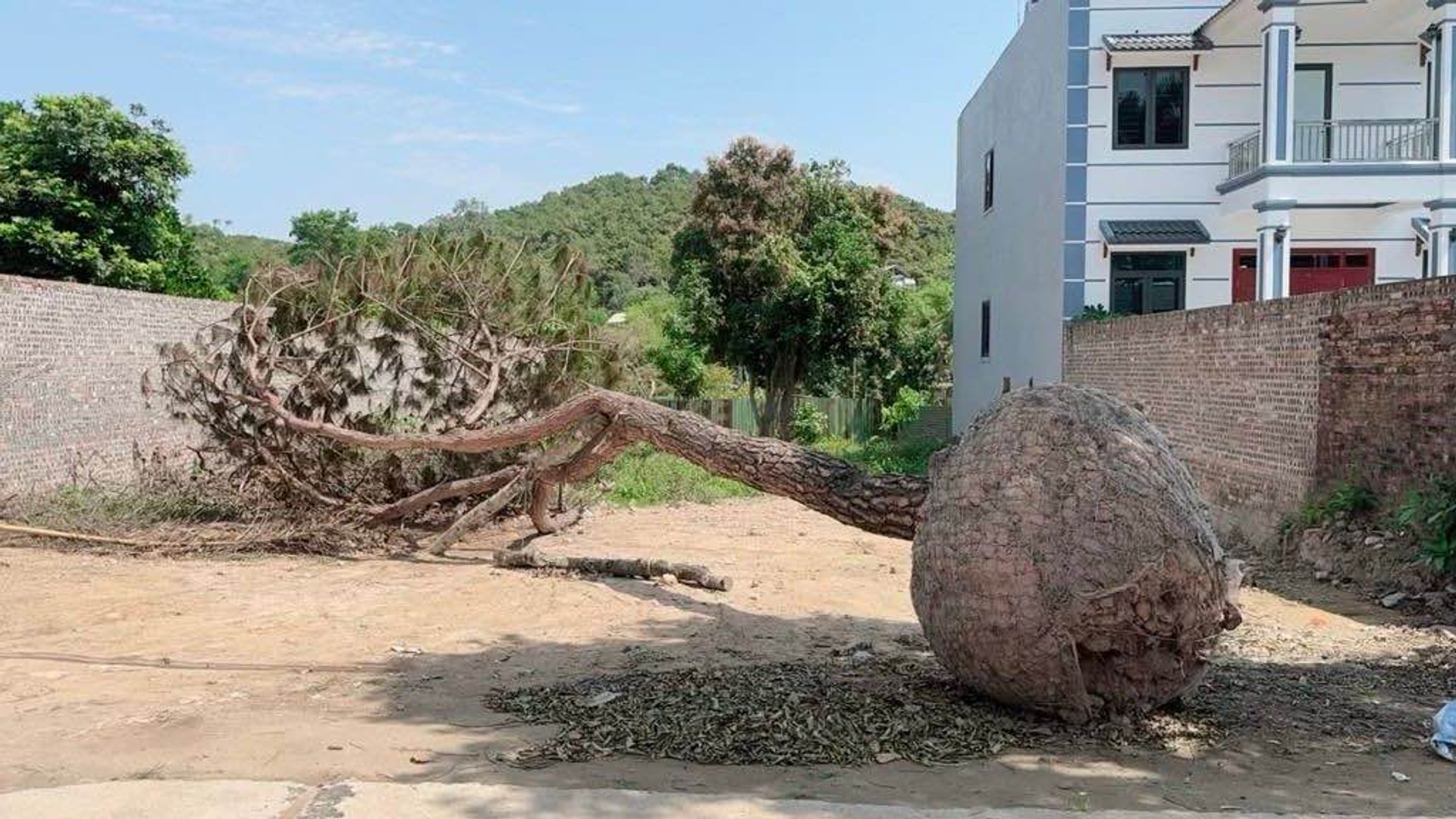 Bán Lô Đất Đẹp Dân Dụng – Đầu Tư Khôn Ngoan