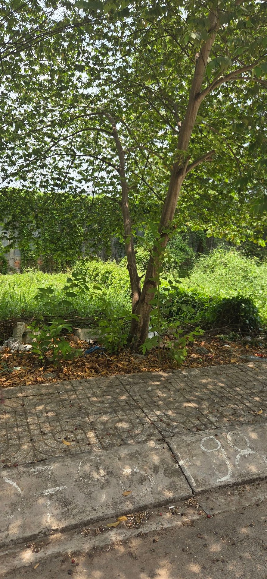 Cơ Hội Vàng Để Đầu Tư - Đất Vuông Đẹp Tân Tạo