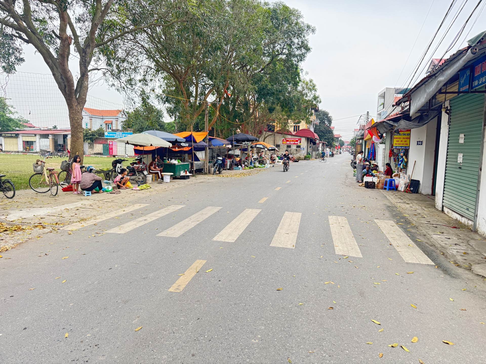 Bán đất 85m² tại Dược Hạ, Sóc Sơn - Đường thông ô tô vào đất, giá 3.500.000.000 VNĐ