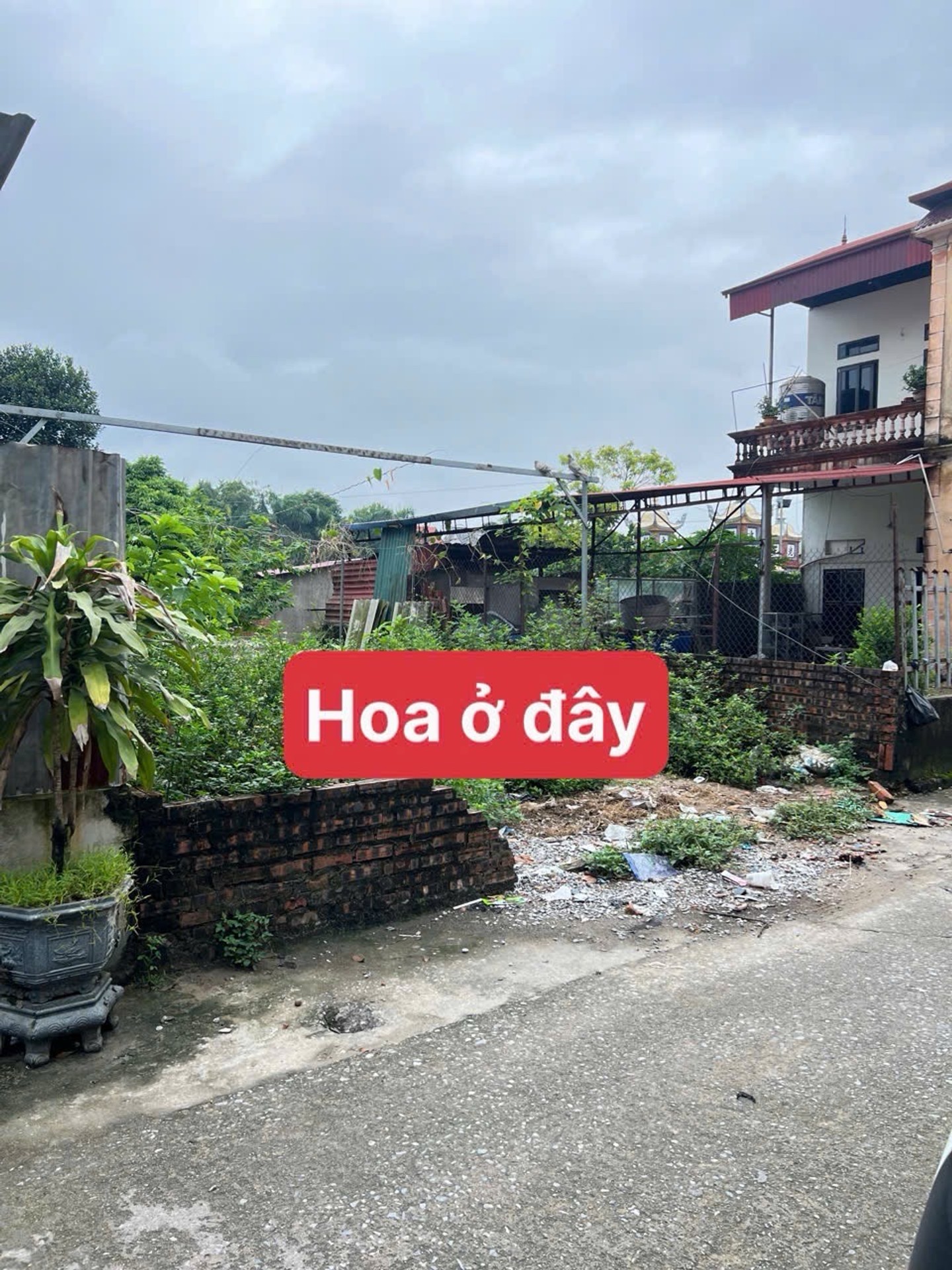 Đất Vàng Sóc Sơn – Cơ Hội Vàng Đầu Tư Nhất Định Không Thể Bỏ Lỡ!