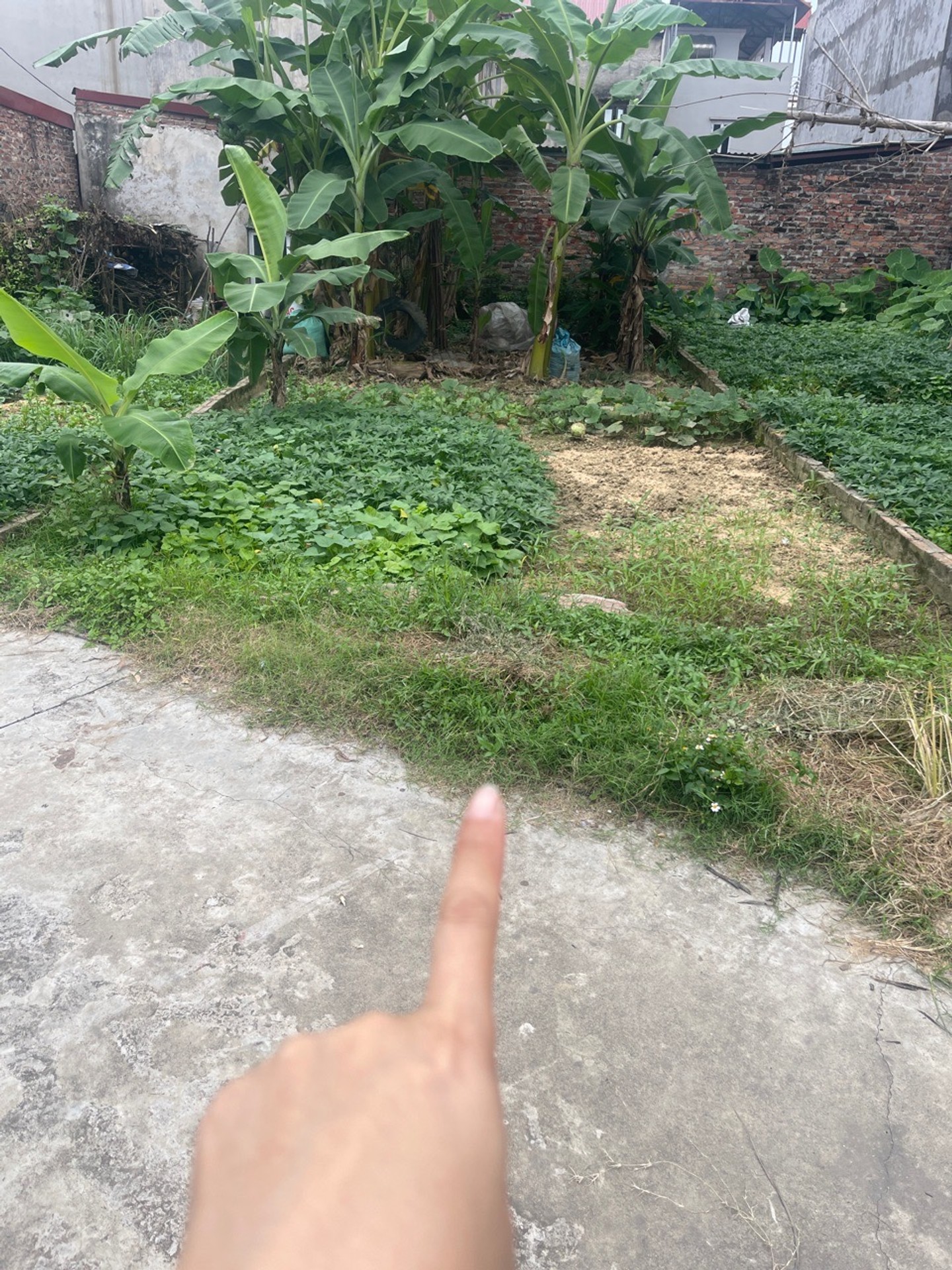 Bán đất thổ cư 60m² tại Yên Tàng, Bắc Phú - tiện ích đầy đủ, pháp lý rõ ràng