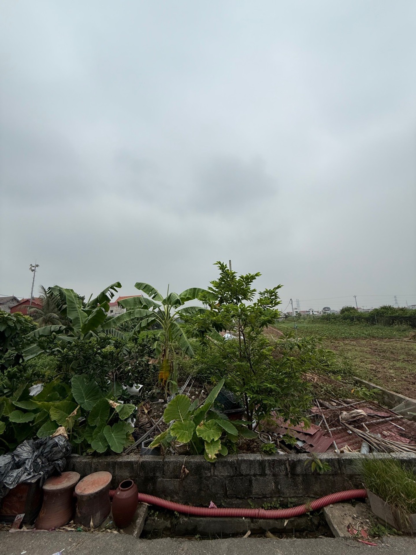 Đất Đẹp Dương Hạ - mế sở - Hưng Yên : Kinh Doanh & và đầu tư
