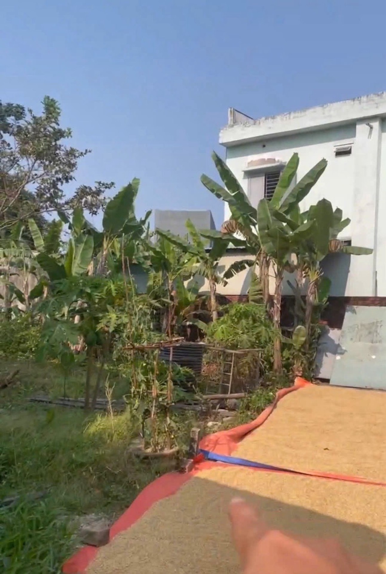 🔥 100M² – Ô TÔ VÀO TẬN NƠI – 2,3 TỶ… CÓ ĐÁNG XUỐNG TIỀN?