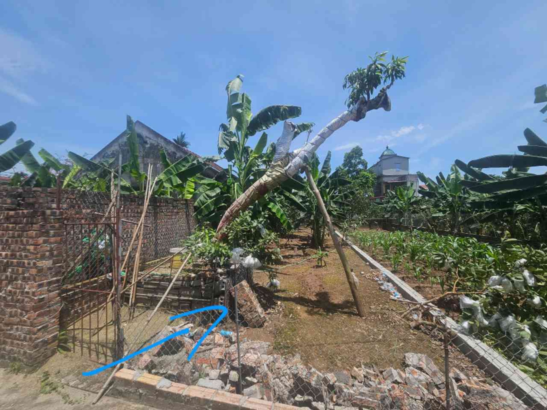 Đất thổ cư bứt phá- đông tảo- Hưng Yên , tìm năng cao