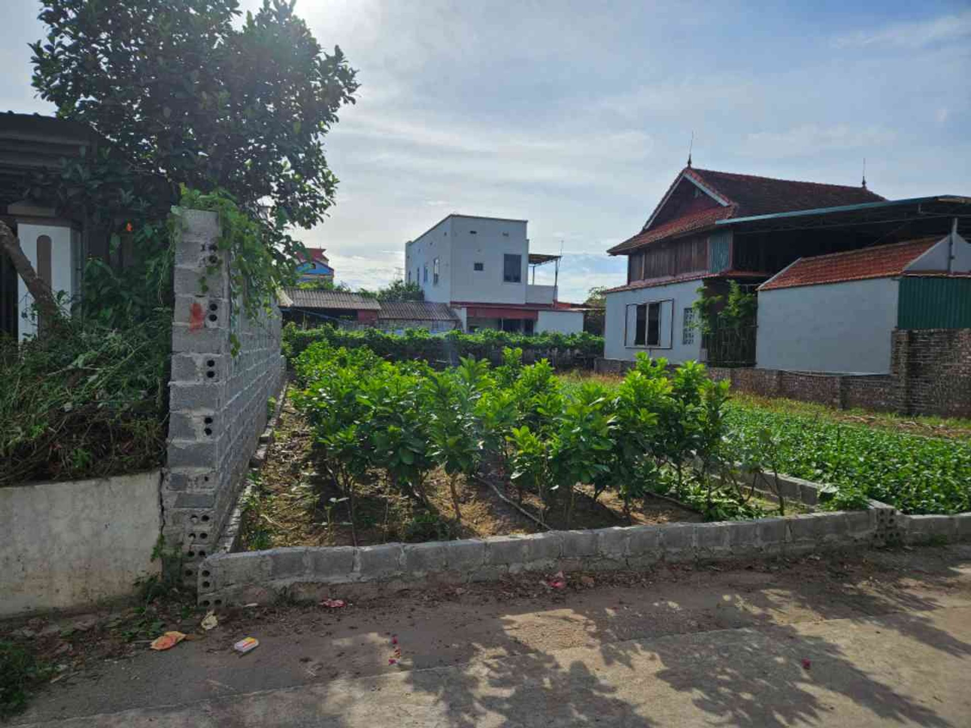 Đất thổ cư đông tảo-hưng yên vị trí tiềm lăng theo dự án vành đai 4 và sân vận động PVF..vv
