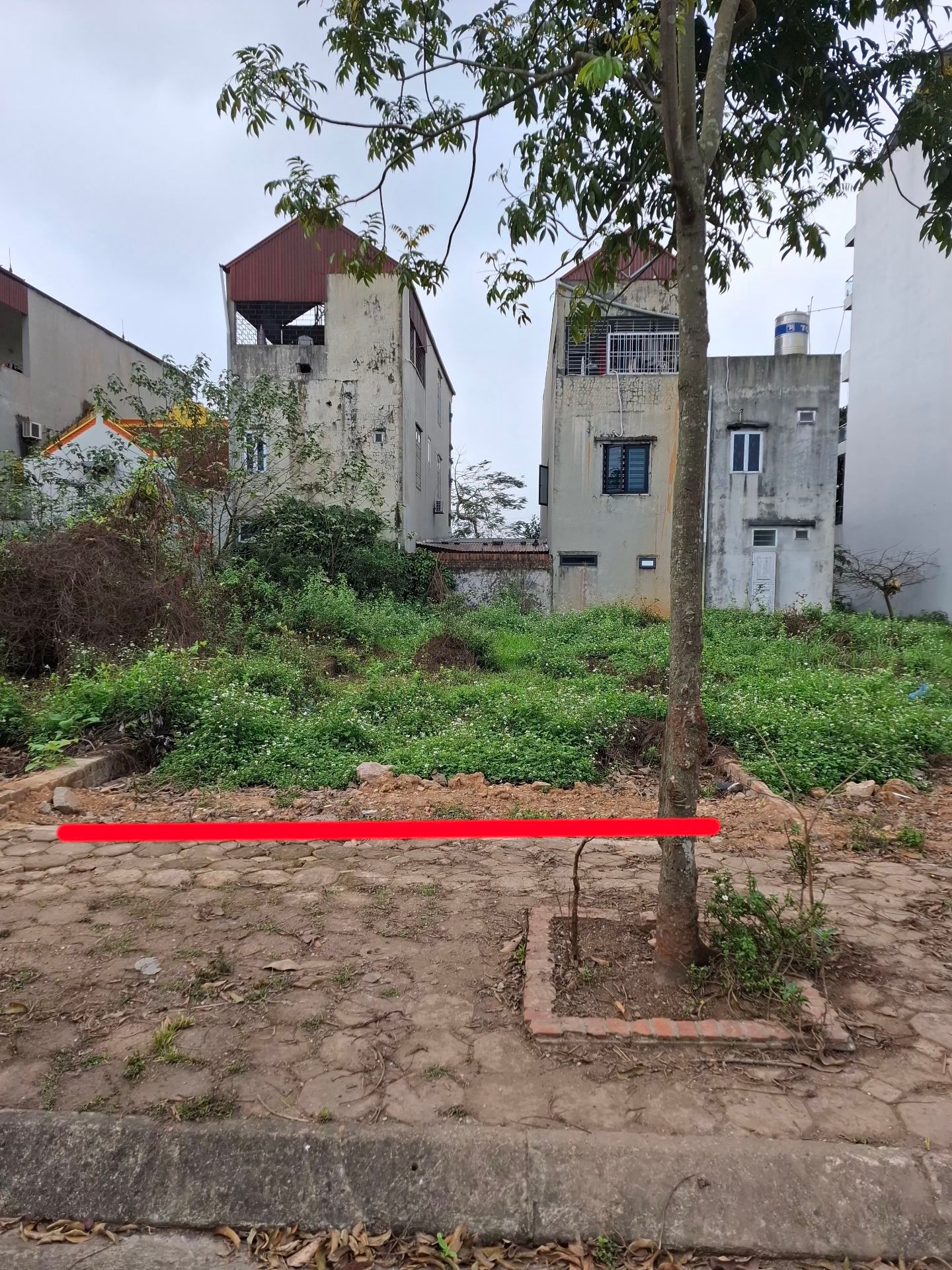 Khám Phá Đất Vàng Bắc Hạ - Cơ Hội Chỉ Có Một!