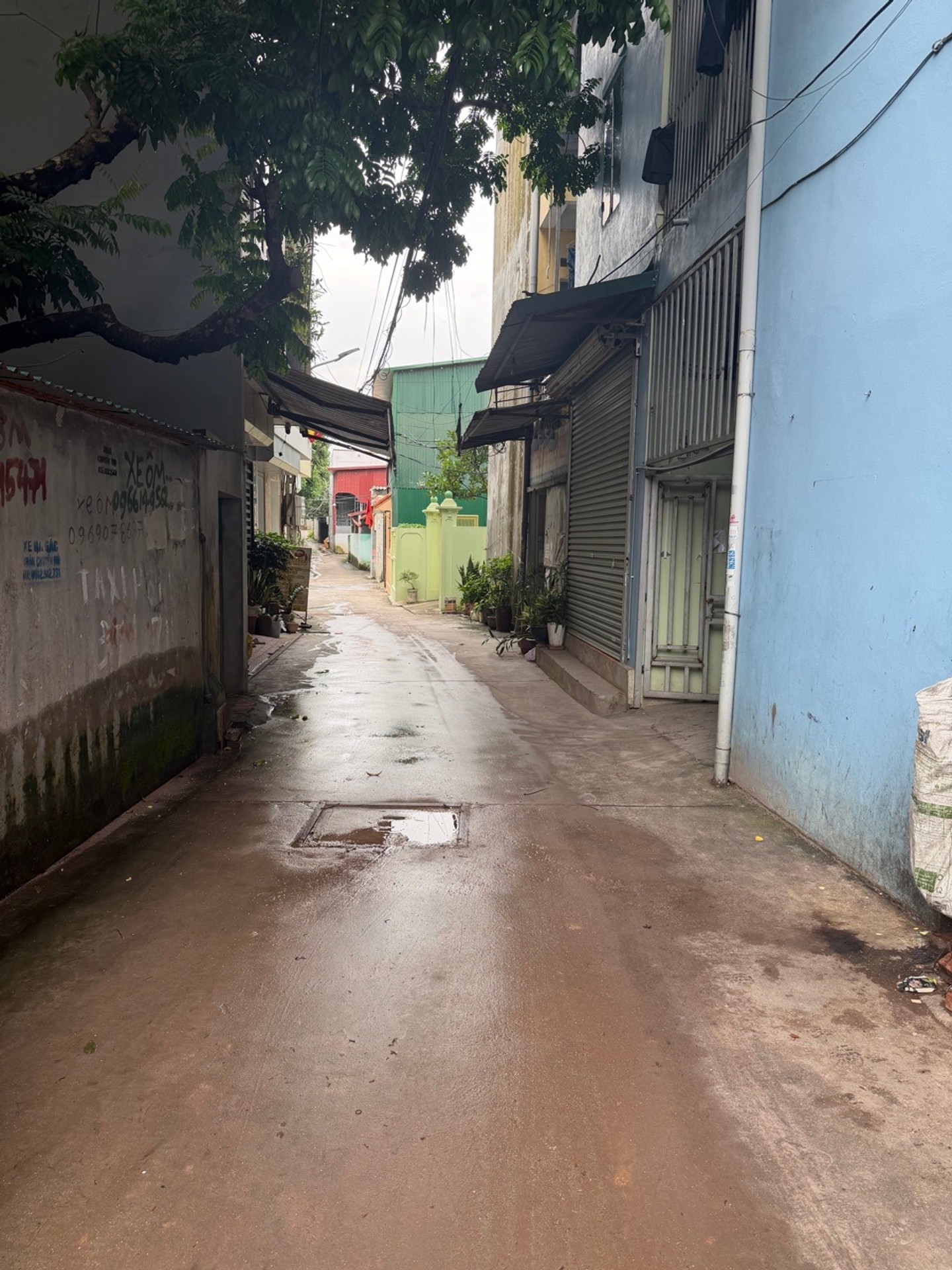 Móng núi 1, Đại Đồng, Bắc ninh Móng núi 1 DT 124 MT 5