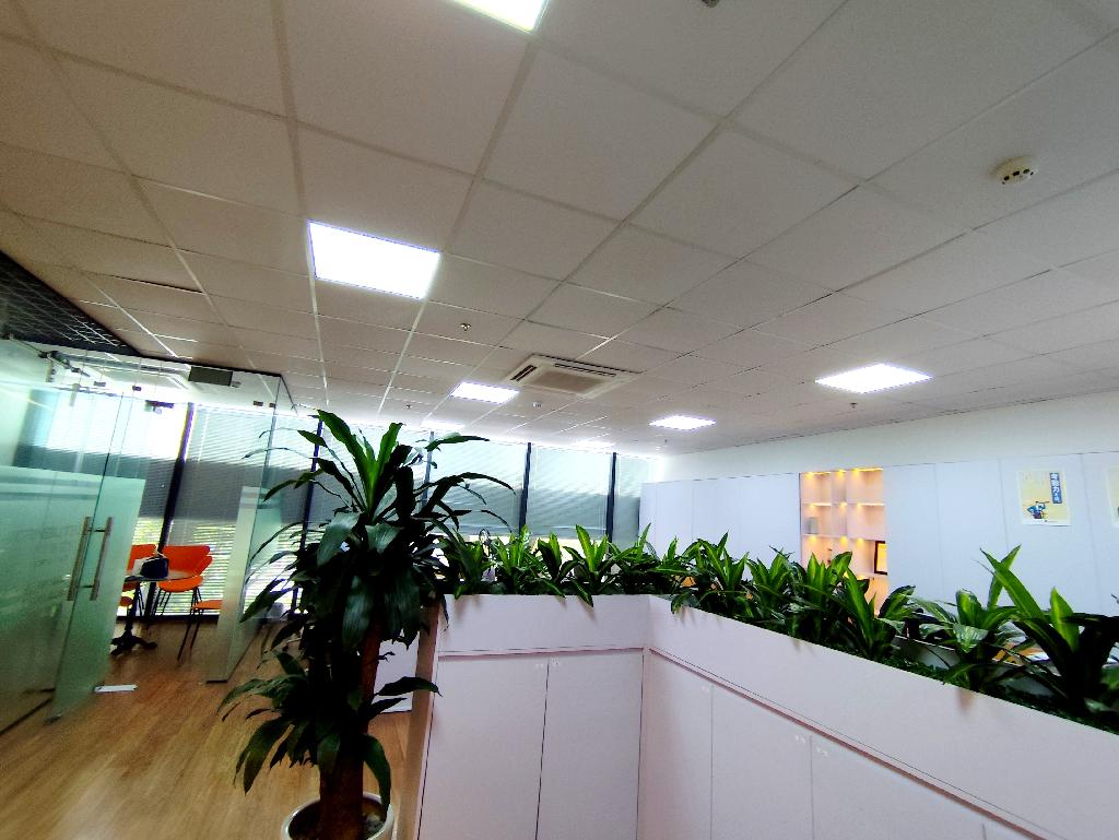 Chân toà chung cư, toàn bộ mặt sàn tầng 2
Khu Đô Thị Mới Tây Hồ Tây, định danh, văn phòng đẳng cấp