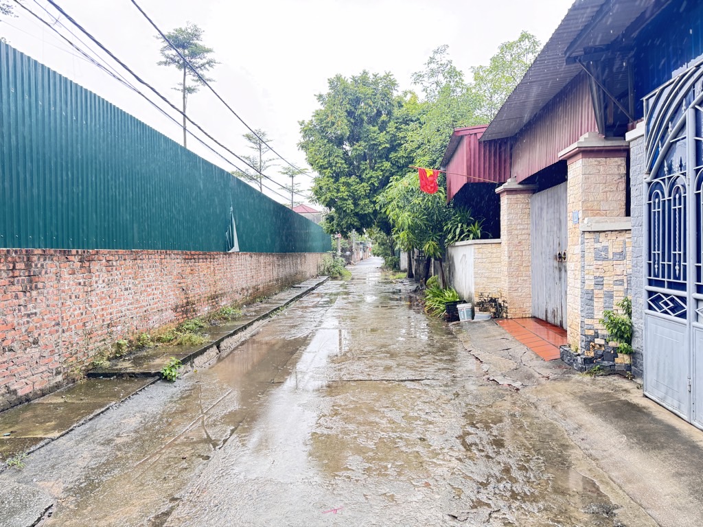 Cơ Hội Sở Hữu Đất Vàng Tại Nguyên Khê Chỉ Với 4.9 Tỷ!