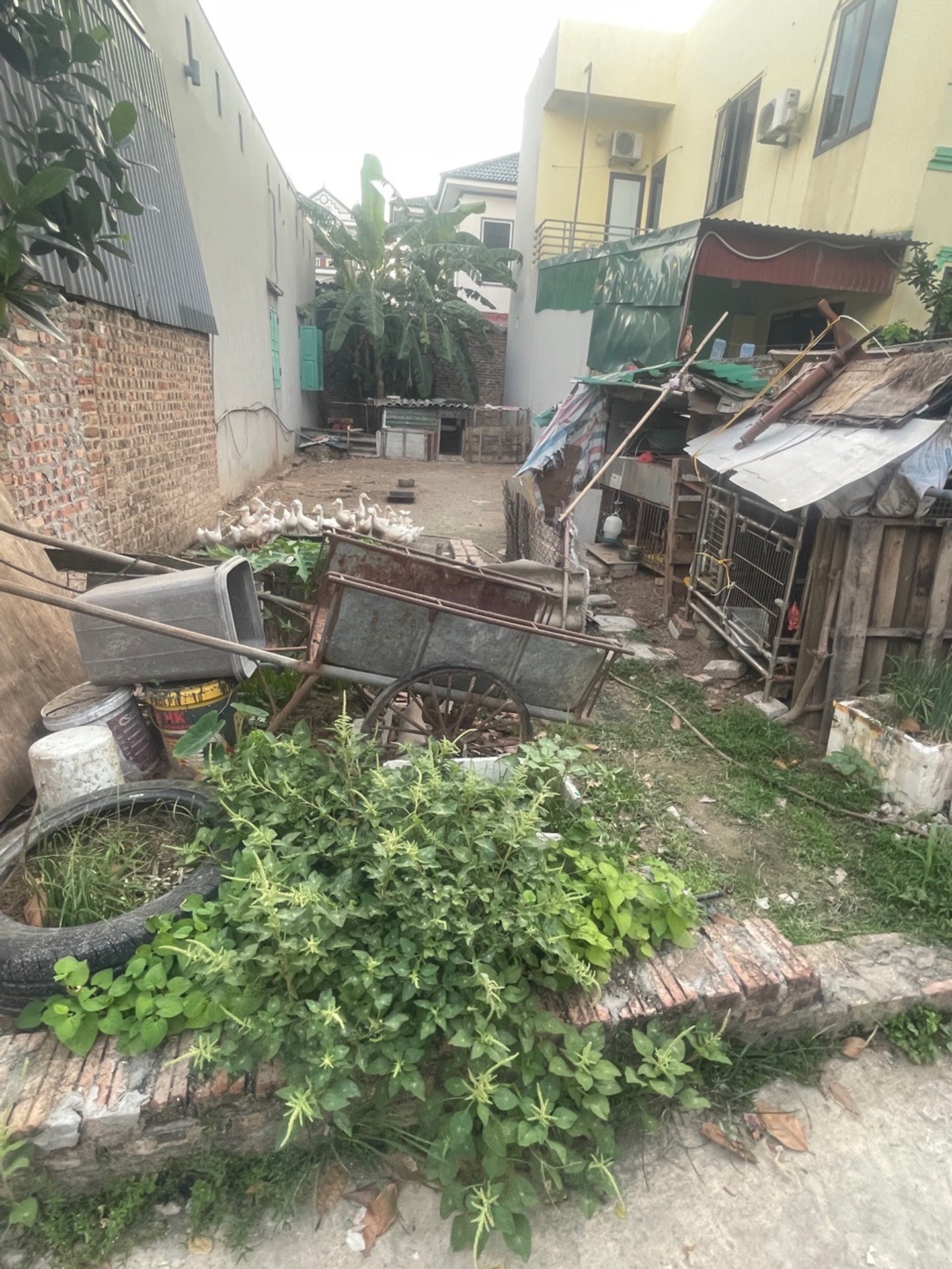 FUN THỔ CƯ 93,7m² – THÔN ĐÔNG LAI, QUANG TIẾN, SÓC SƠN
-