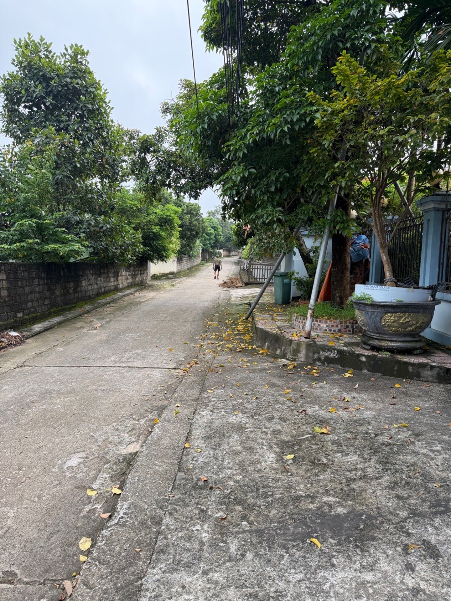 🌿 NHÀ VƯỜN GẦN TRUNG TÂM THÀNH PHỐ
• Diện tích 1.400m² – mặt tiền 25m hơn 4 tỷ • Đường ô tô 50 chỗ