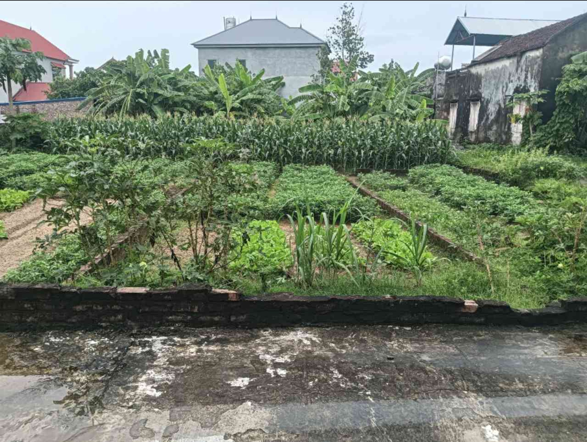 Đất Vuông Đẹp Full Thổ Cư Khu Dân Cư Sầm Uất