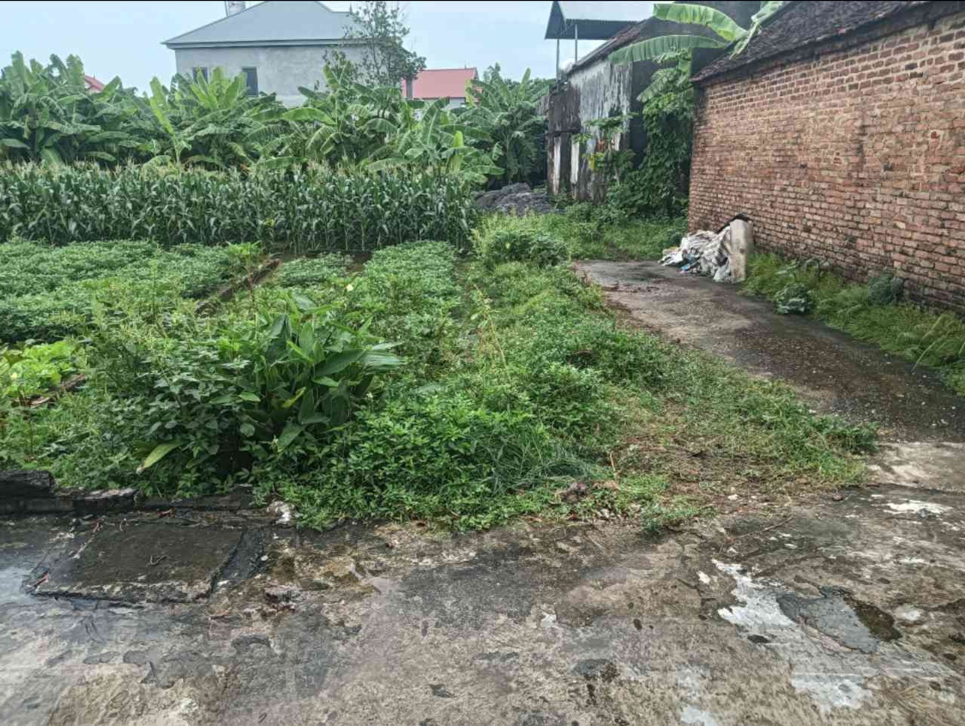 Đất Lô Góc Thoáng Mát Giá Hợp Lý Tại Khu Dân Cư Sầm Uất