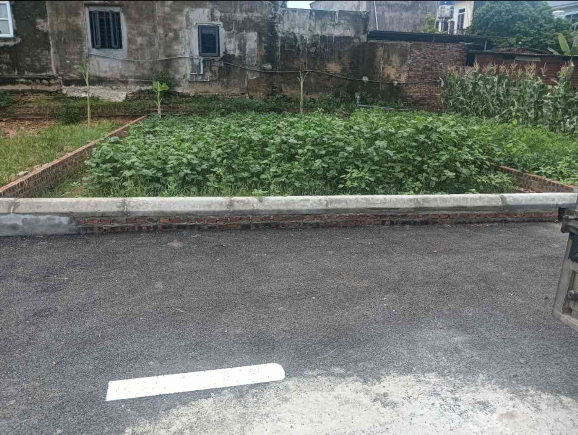 Đất Vàng 80m² Mặt Tiền Rộng Gần Thanh Trì - Sóc Sơn