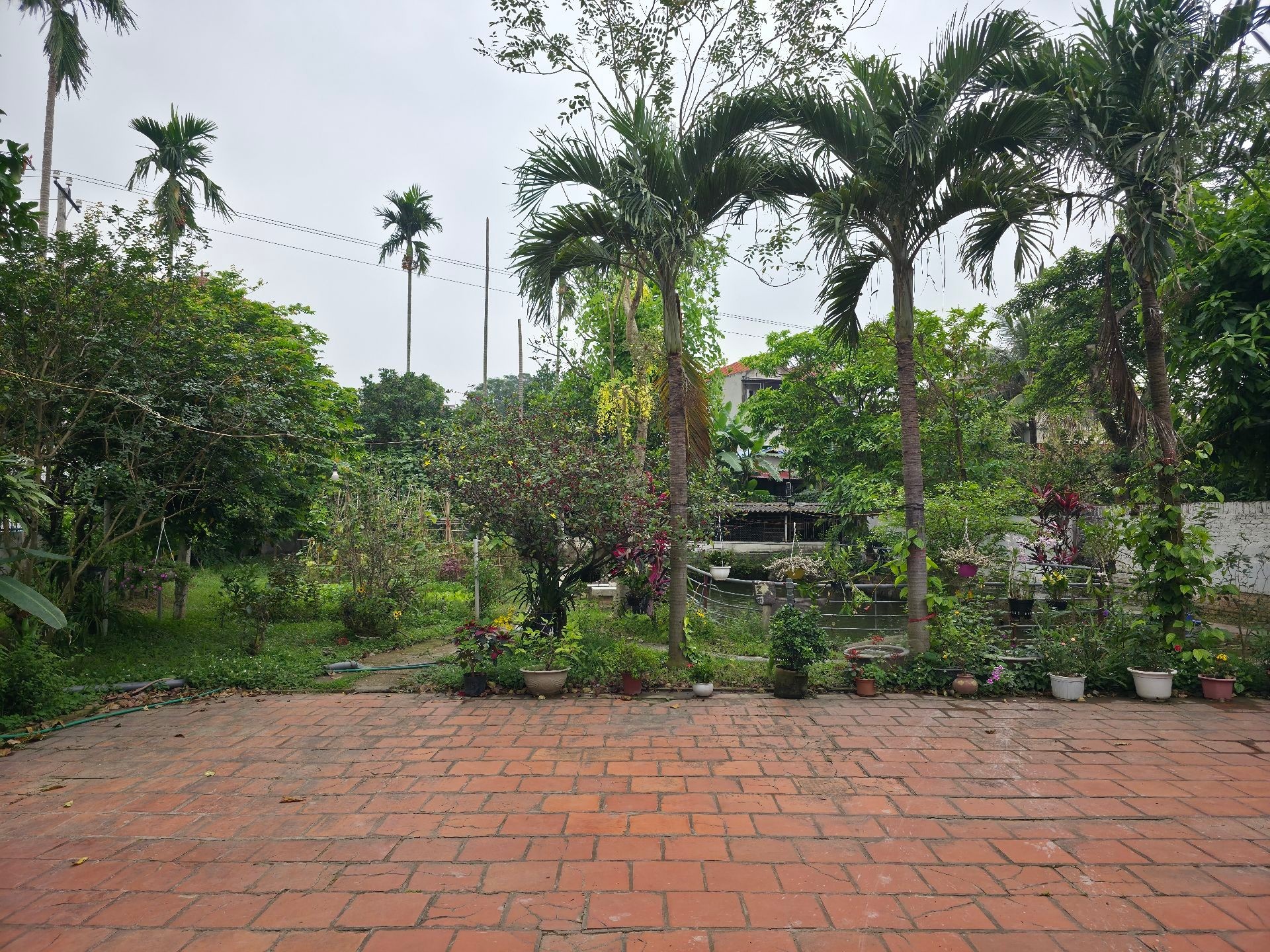 Cơ hội vàng sở hữu nhà riêng 2 tầng với 720m2 đất tại Tân Dân, Sóc Sơn