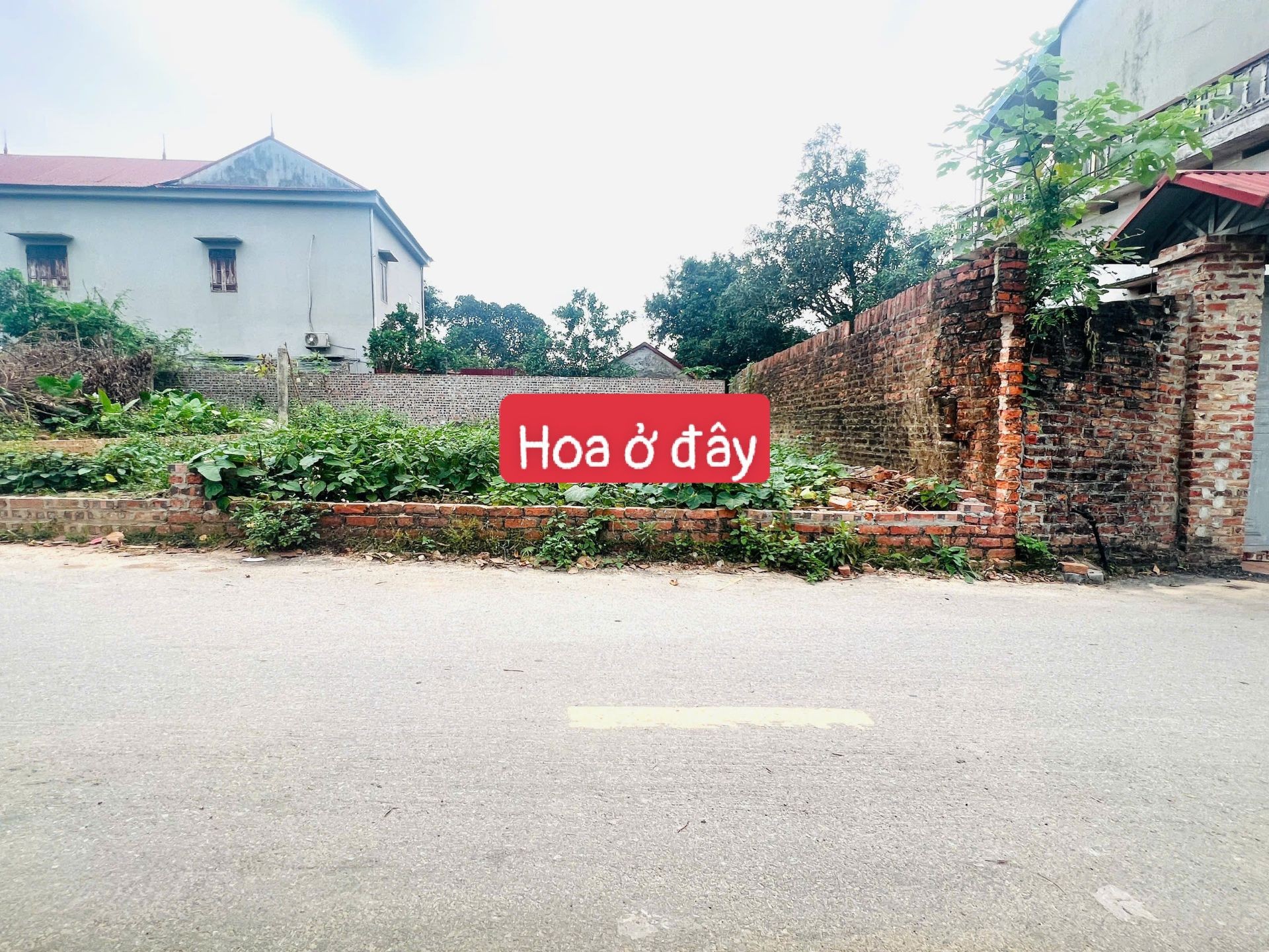 Đất đỉnh Vệ Linh Sóc Sơn, thổ cư sẵn, ô tô vào thoải mái