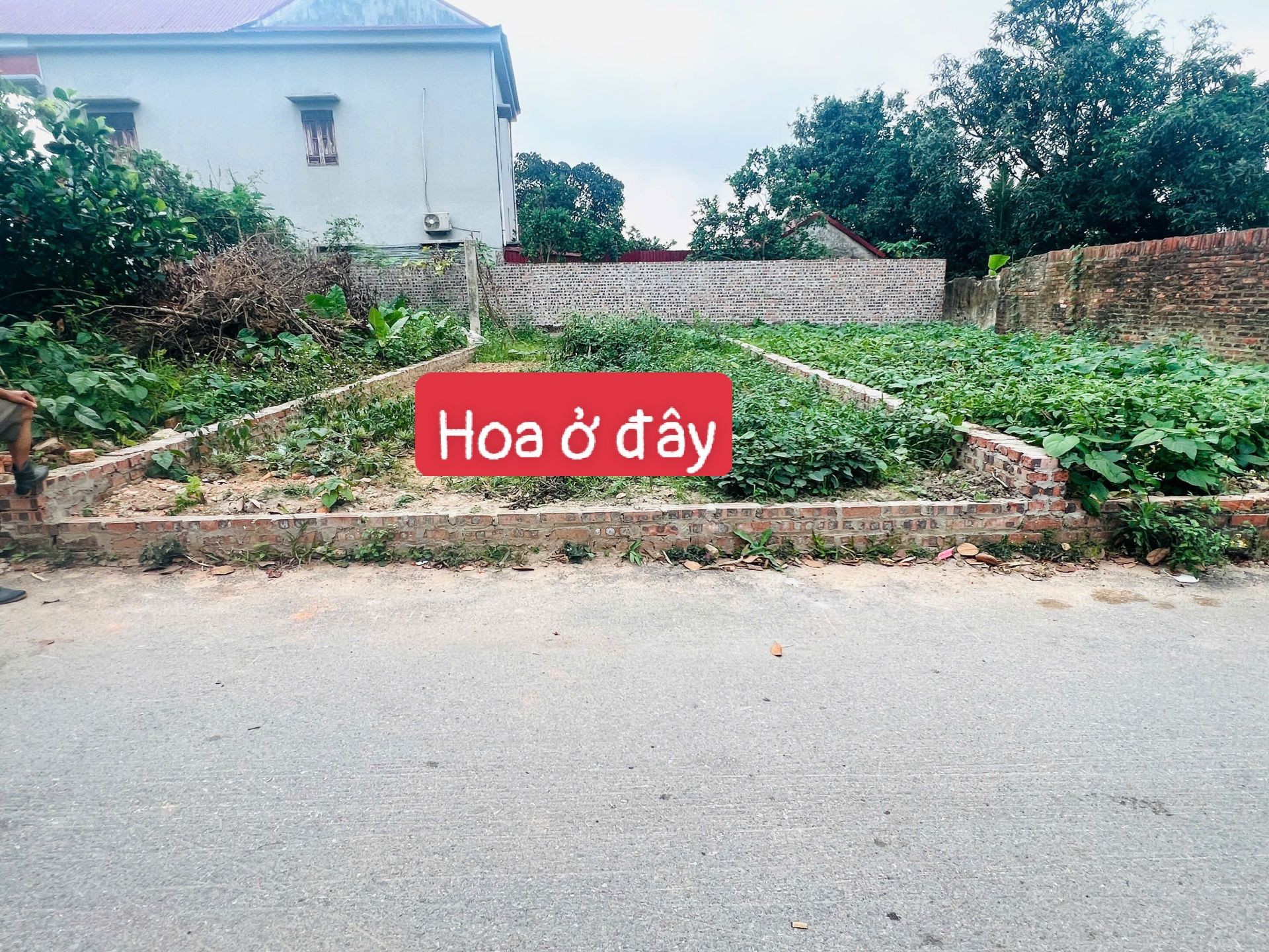 Đất sân bay Vệ Linh giá cực tốt, sát Võ Nguyên Giáp