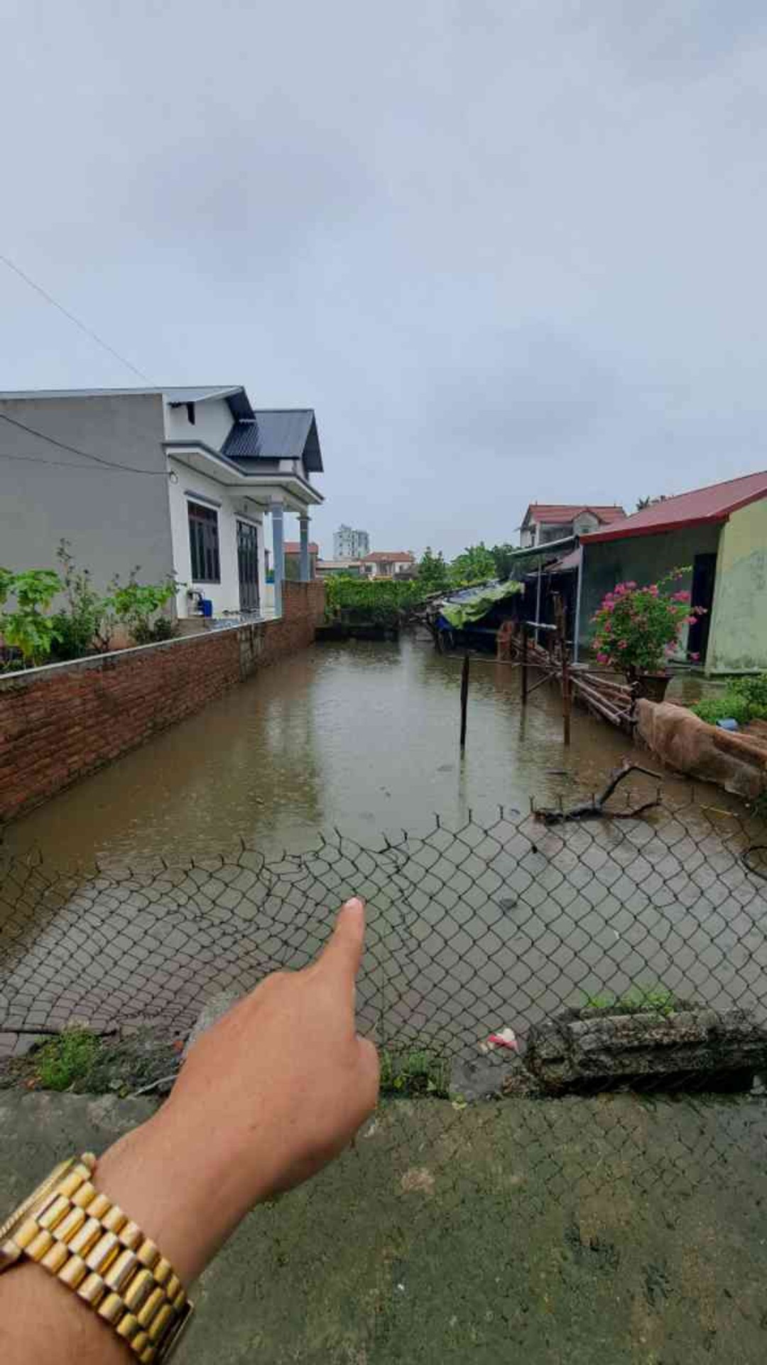 Thửa đất số 411, tờ bản đồ số 35, thôn CD Quán Trạch, Liên Nghĩa, Văn Giang, Hưng Yên