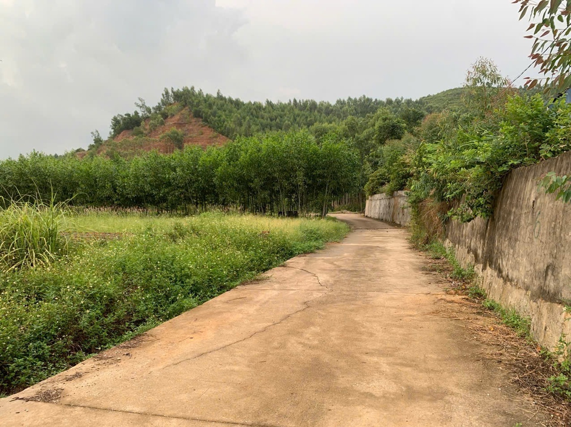 🏡 91,6m² FULL THỔ CƯ – HƯỚNG ĐÔNG NAM – Ô TÔ TẬN ĐẤT