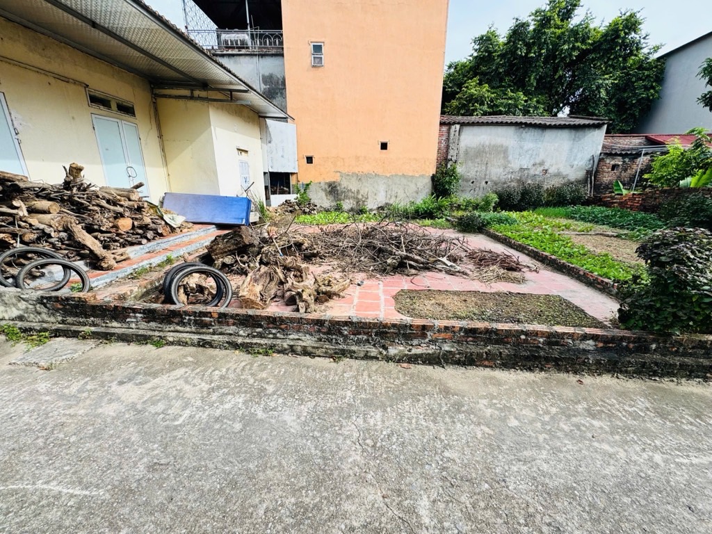 Cơ Hội Sở Hữu Đất Vàng Tại Tân Dân Với Giá Cạnh Tranh