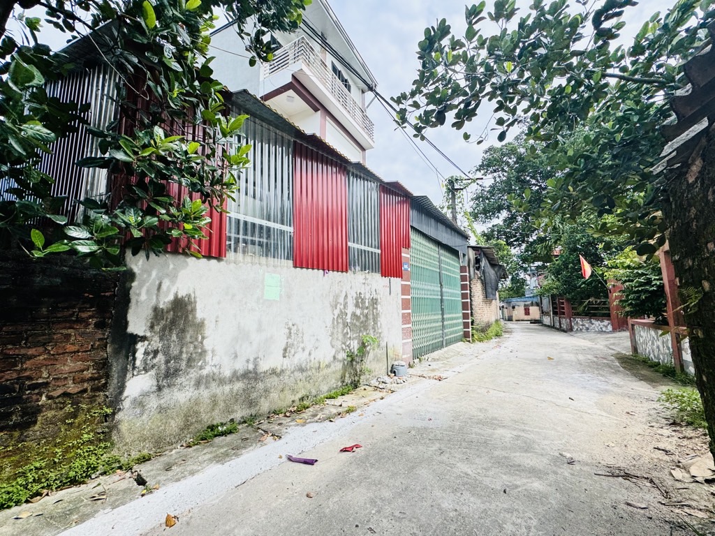 Bán đất thổ cư 200m2 tại xã Xuân Đồng, Sóc Sơn, mặt tiền rộng, xây sẵn nhà 3 tầng
