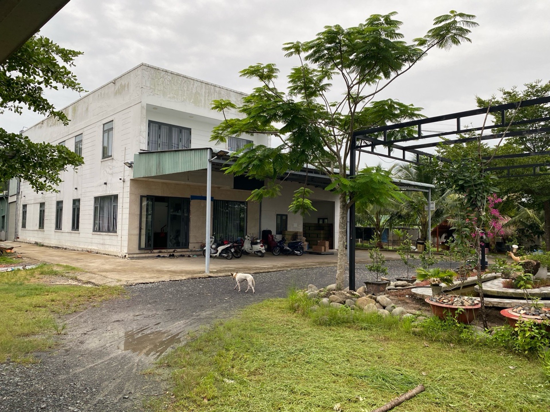 Cơ hội có một không hai: Nhà mặt phố kết hợp xưởng lớn sát dự án Vinhomes, mặt tiền 65m